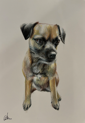 Hound, A4, Pencil, Paper