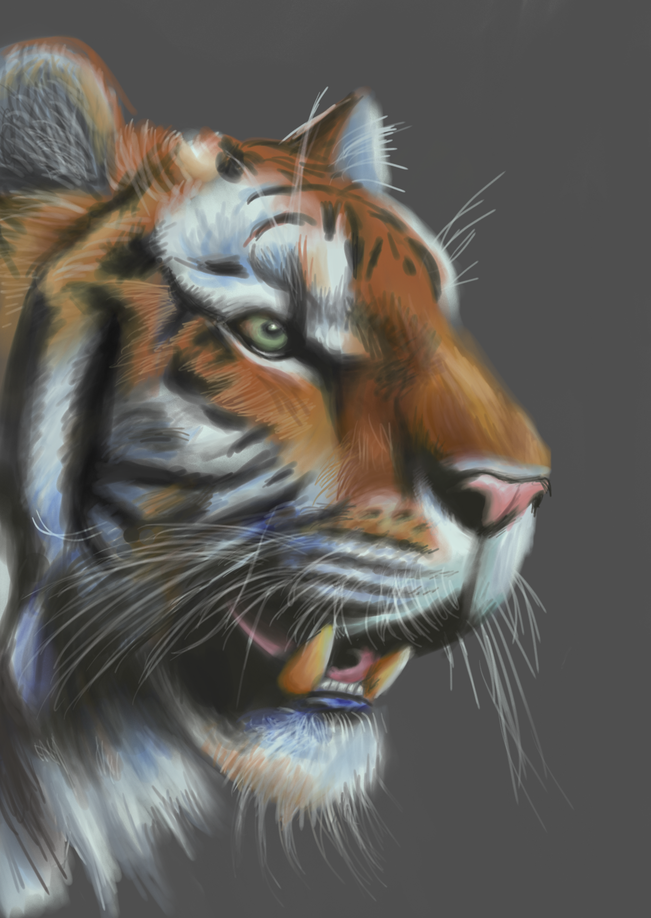 Bravery. Marker Pen Tool, Adobe Sketch