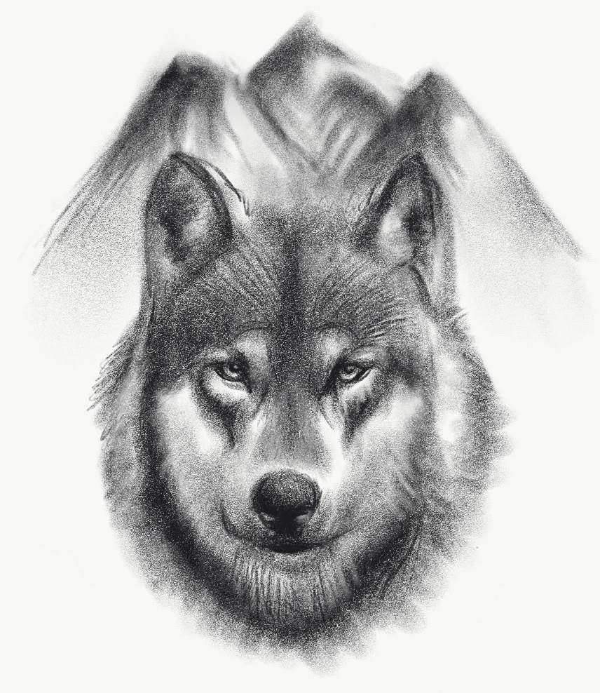 Wolview, Pencil Tool, Adobe Sketch
