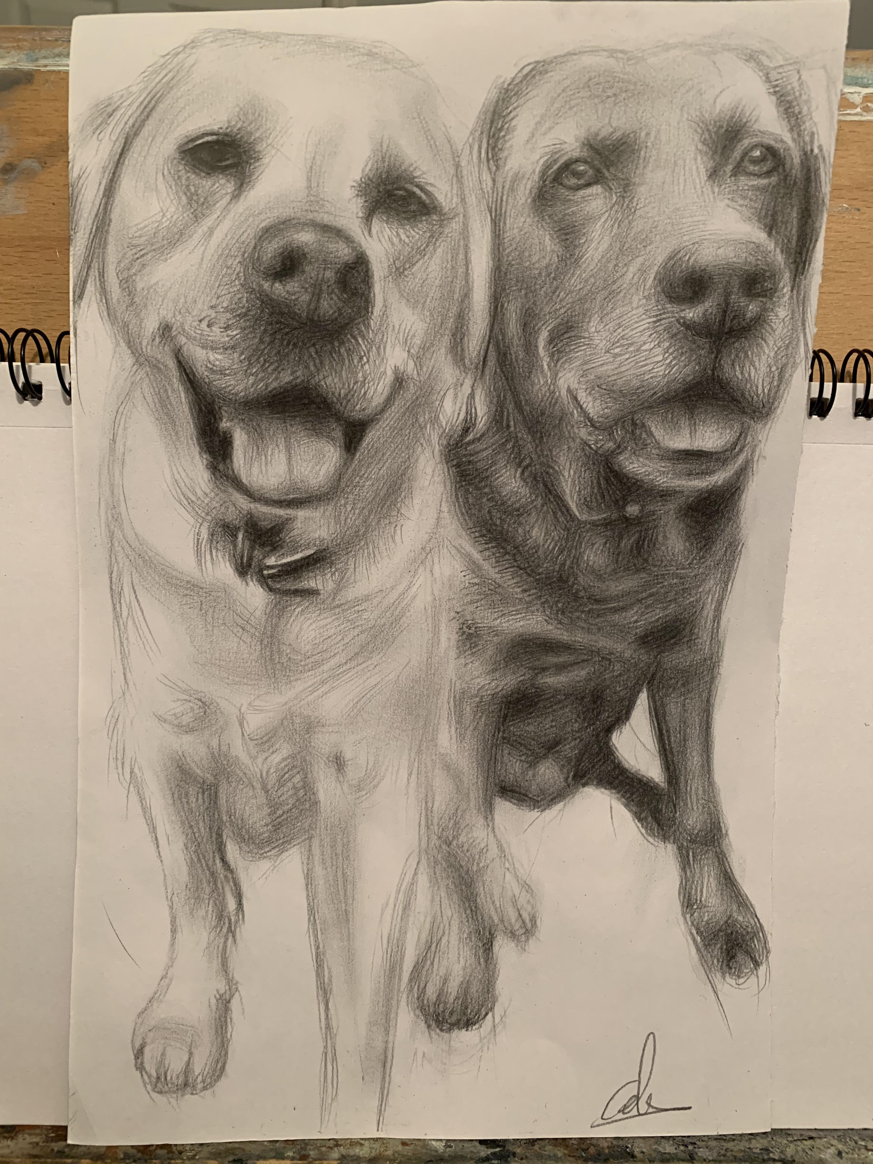 Bounty and Fudge, A4, Pencil, Paper