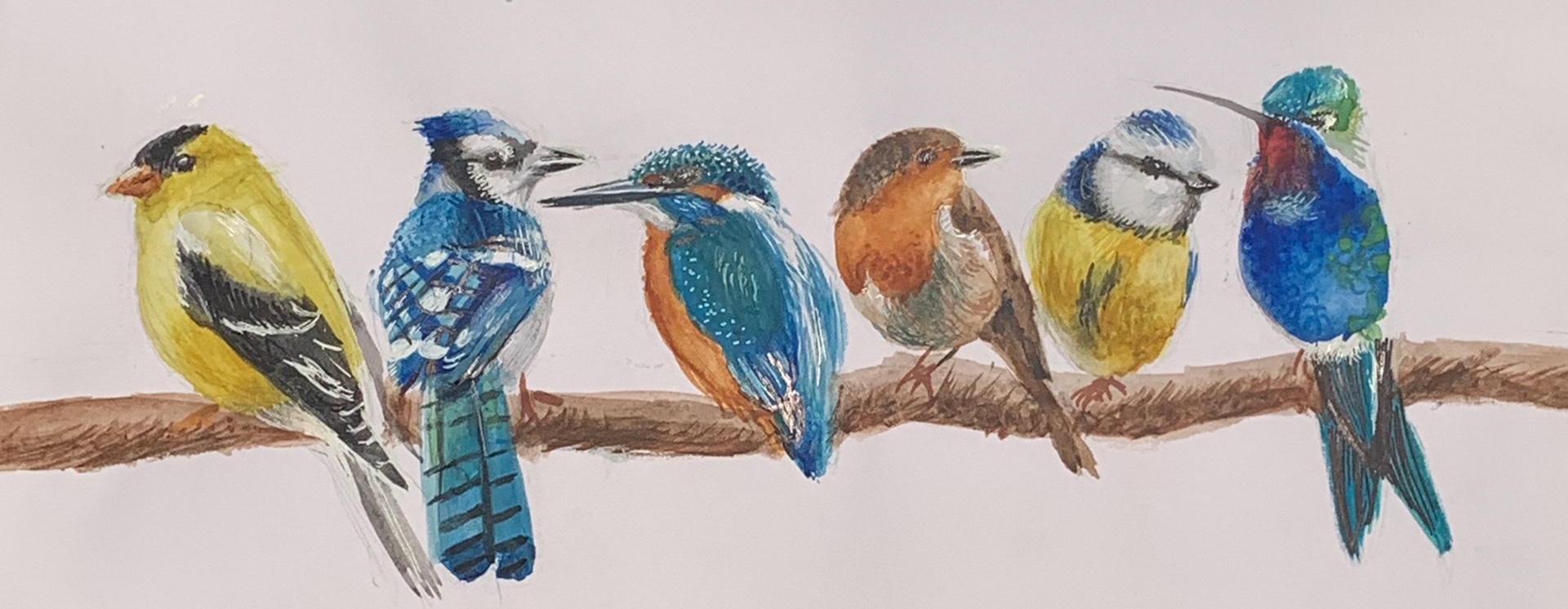 Birdies, A3, Watercolour, Paper