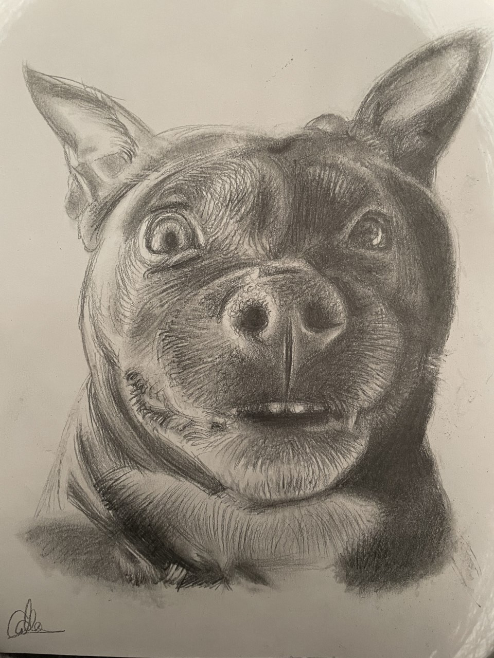 Surprise, A4, Pencil, Paper