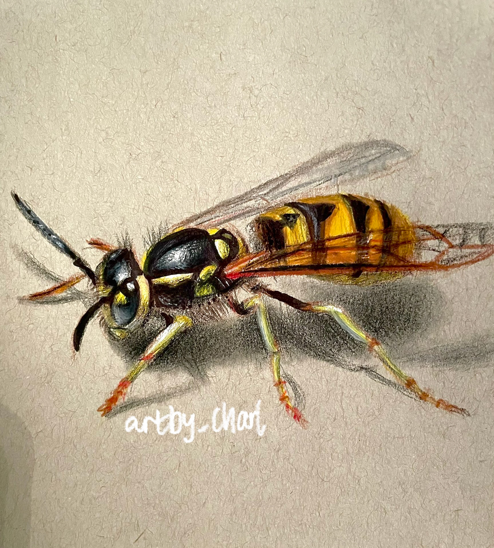 Yellow Mellow, A5, Colour Pencil, Grey Paper