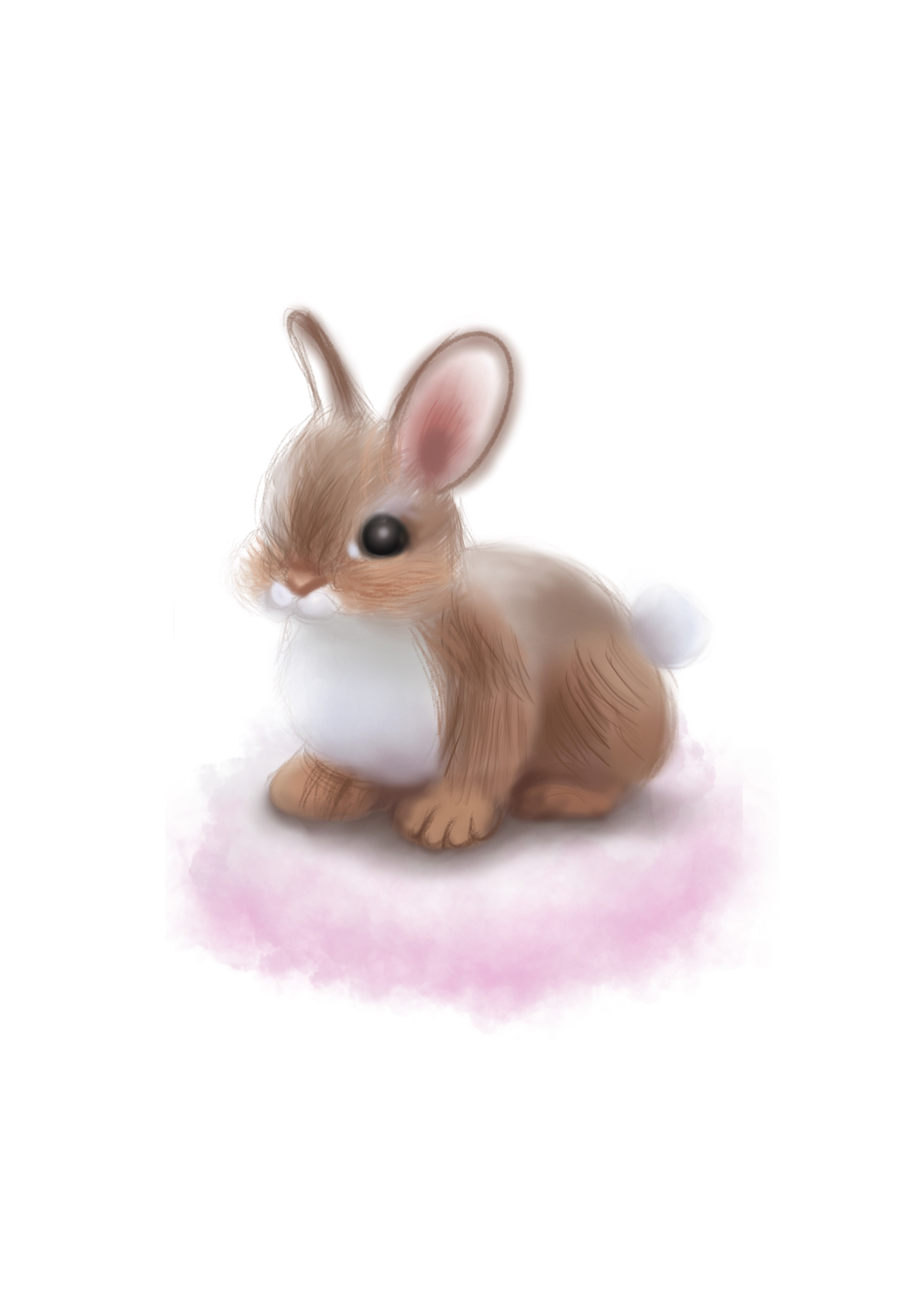 Fluffy as a bunny, Airbrush brush, Procreate