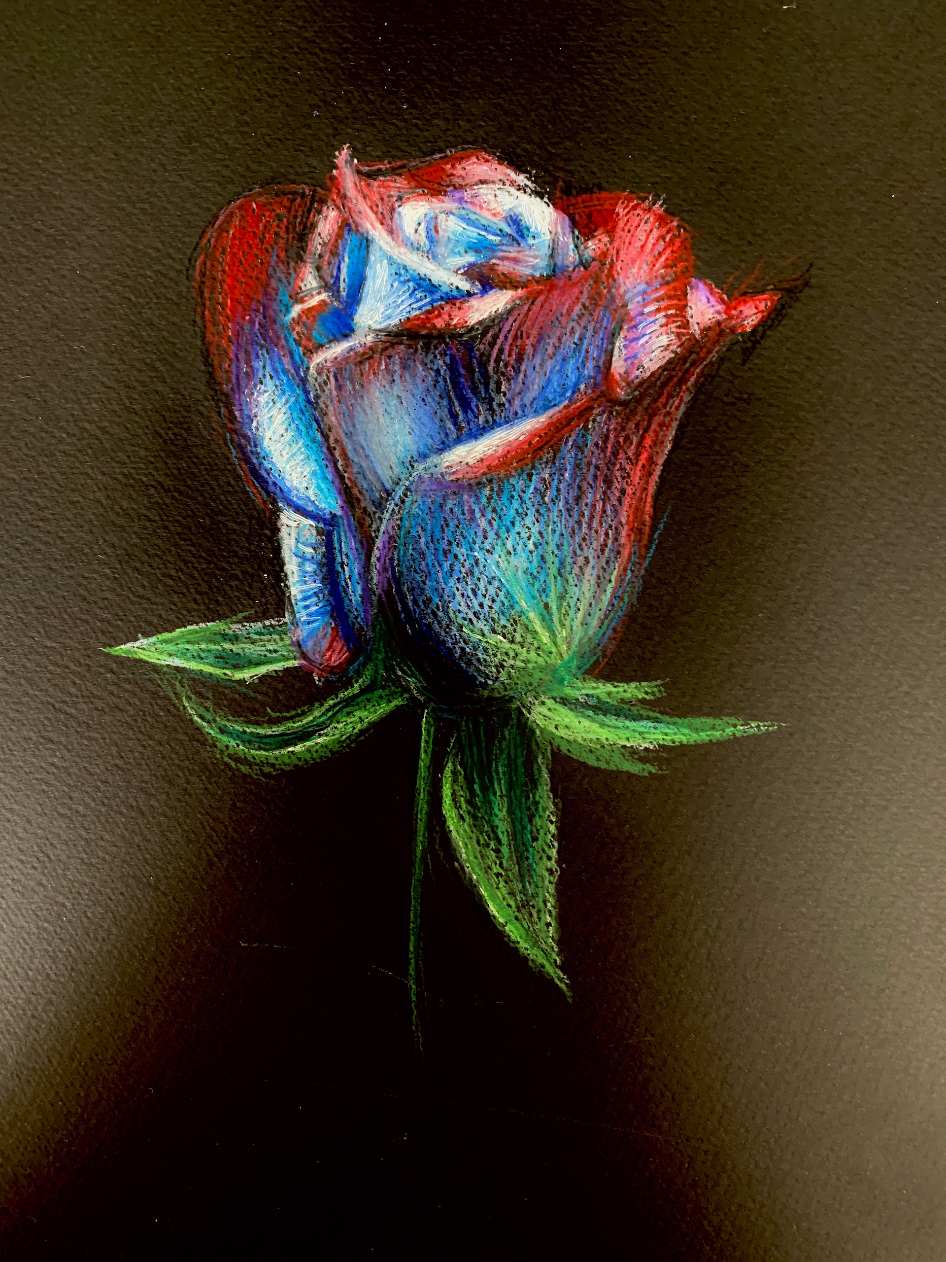 Rosie, A4, Colour Pencil, Black Card