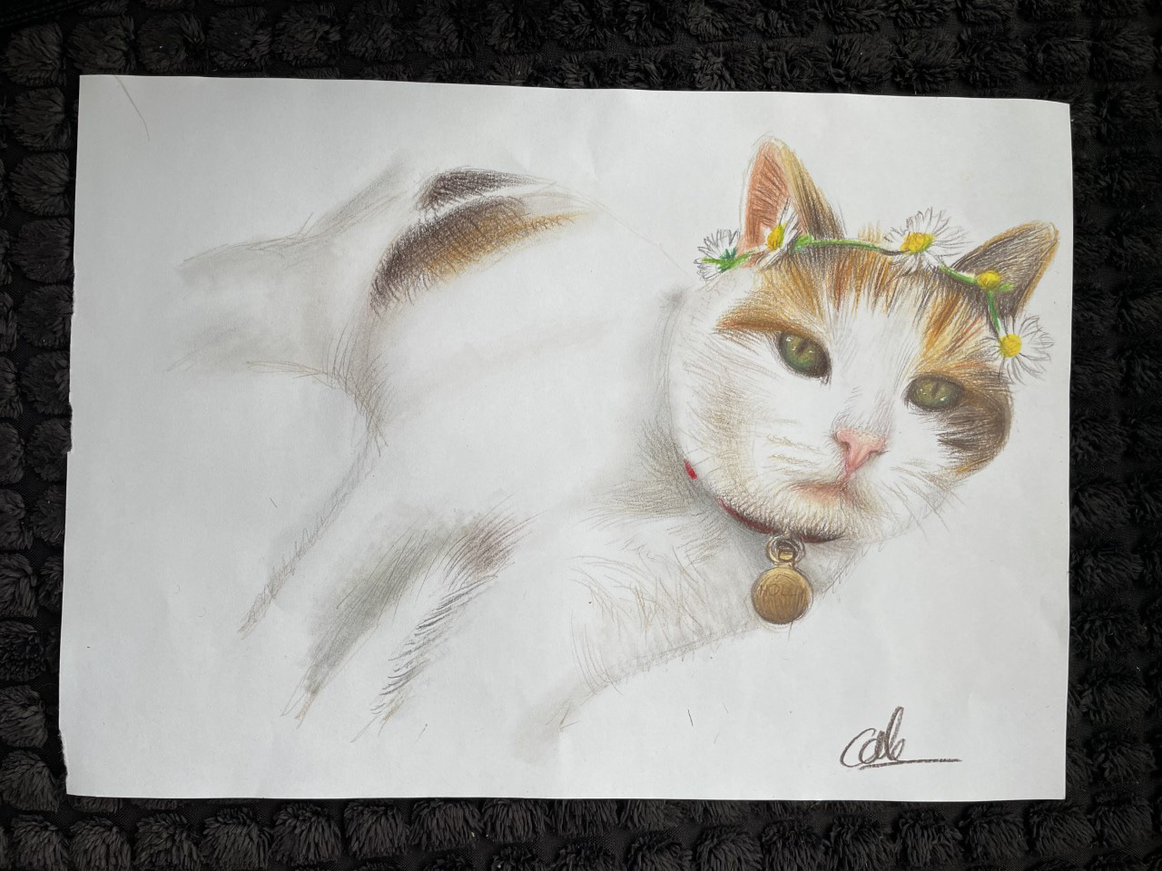 Daisy, A4, Colour Pencil, Paper