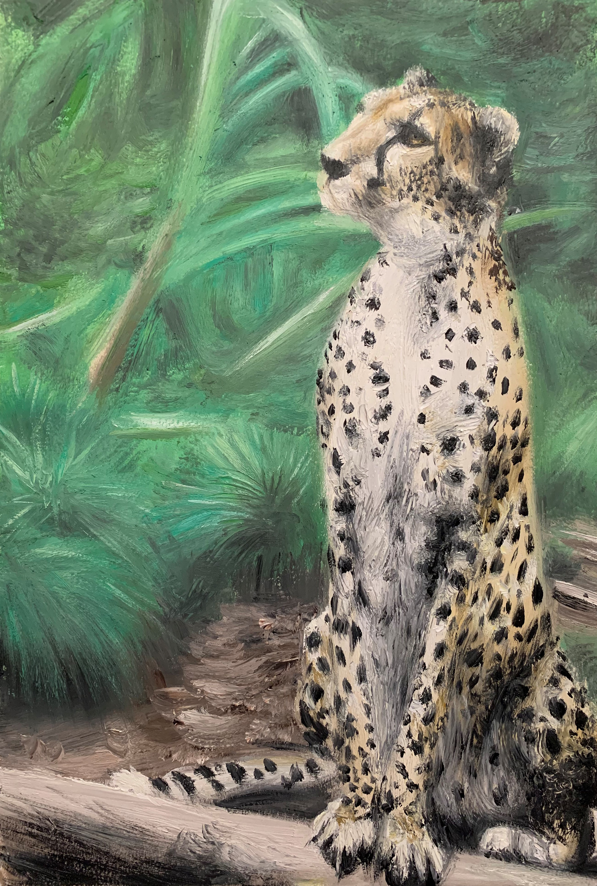Leopard, A3, Oil, paper