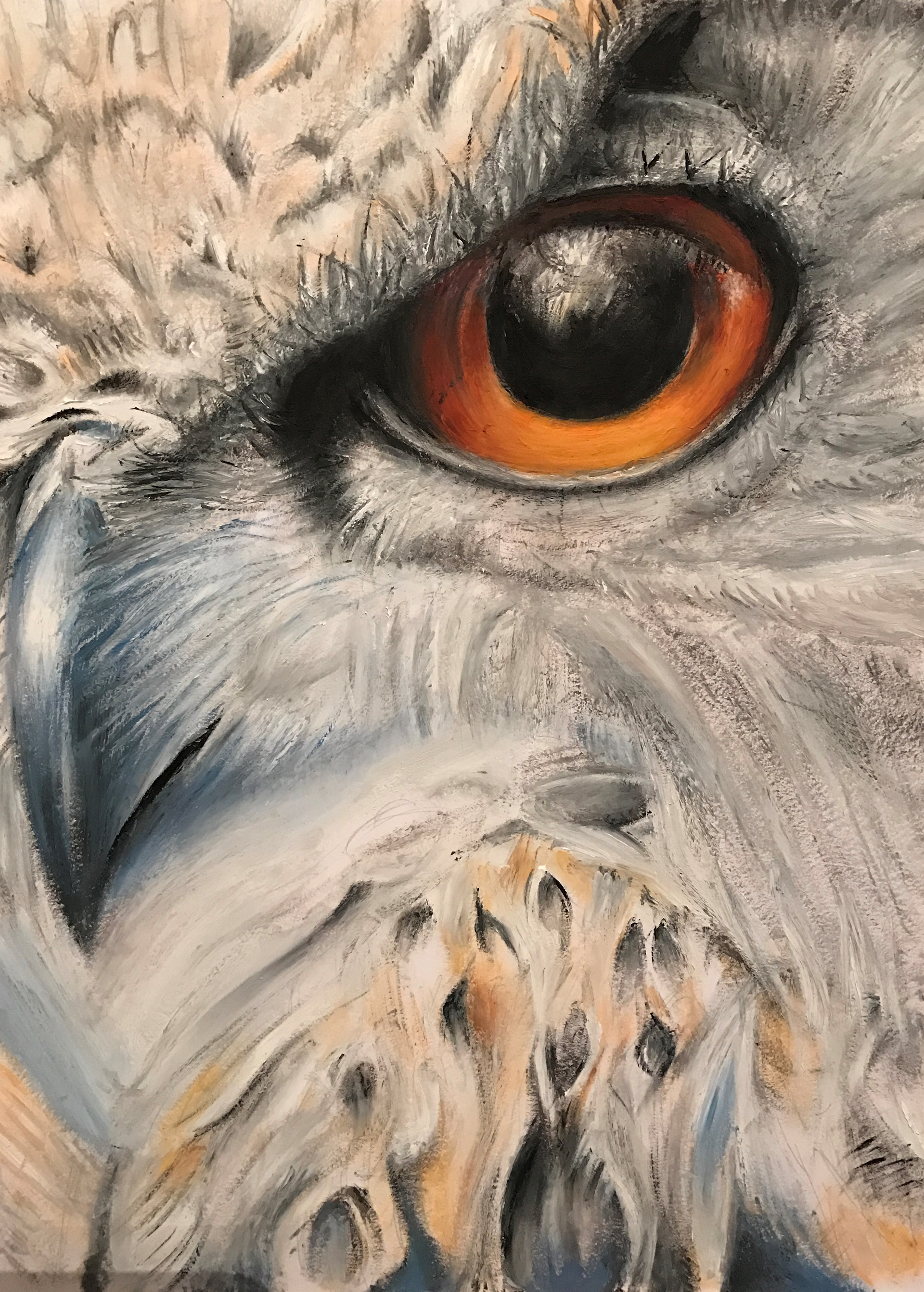 Owl's Eye, A4, Oil, Paper