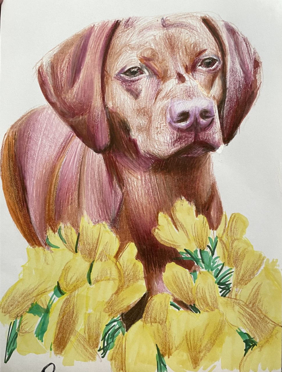 Floral Doggy, A5, Colour Pencil, Paper