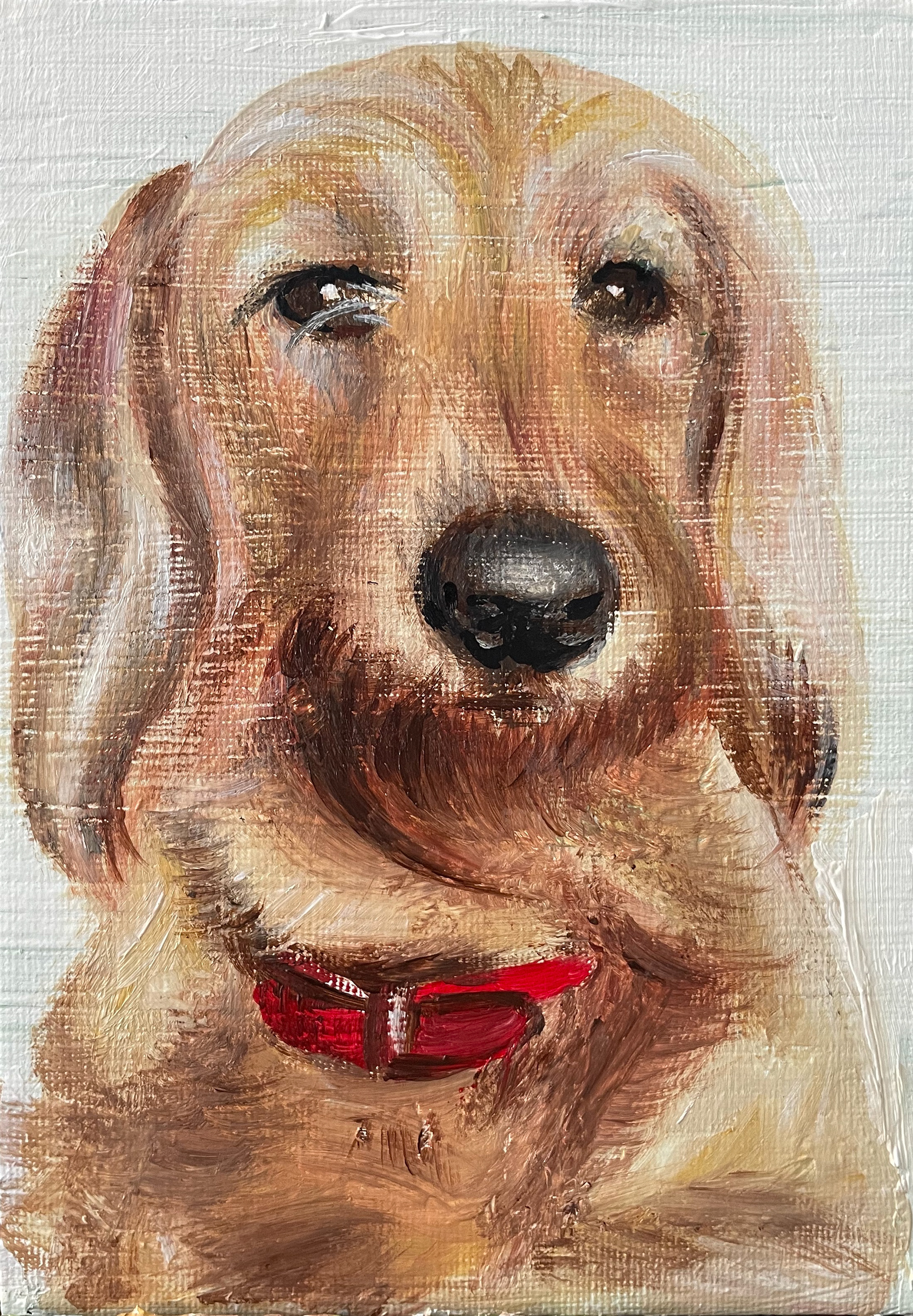 Red Collar, A5. Acrylic, Canvas Board