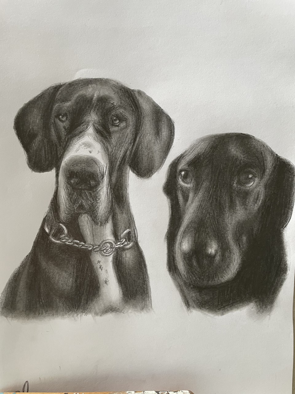 Nosey, A4, Charcoal, Paper