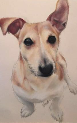 Buddy, A3, Oil, Paper