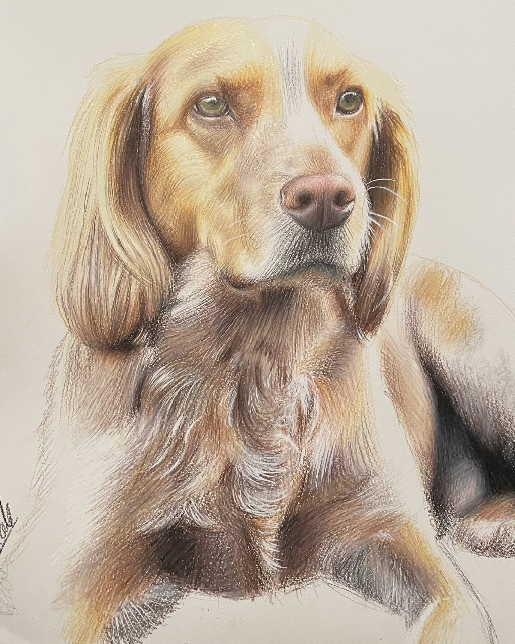 Majestic, A4, Colour Pencil, Paper