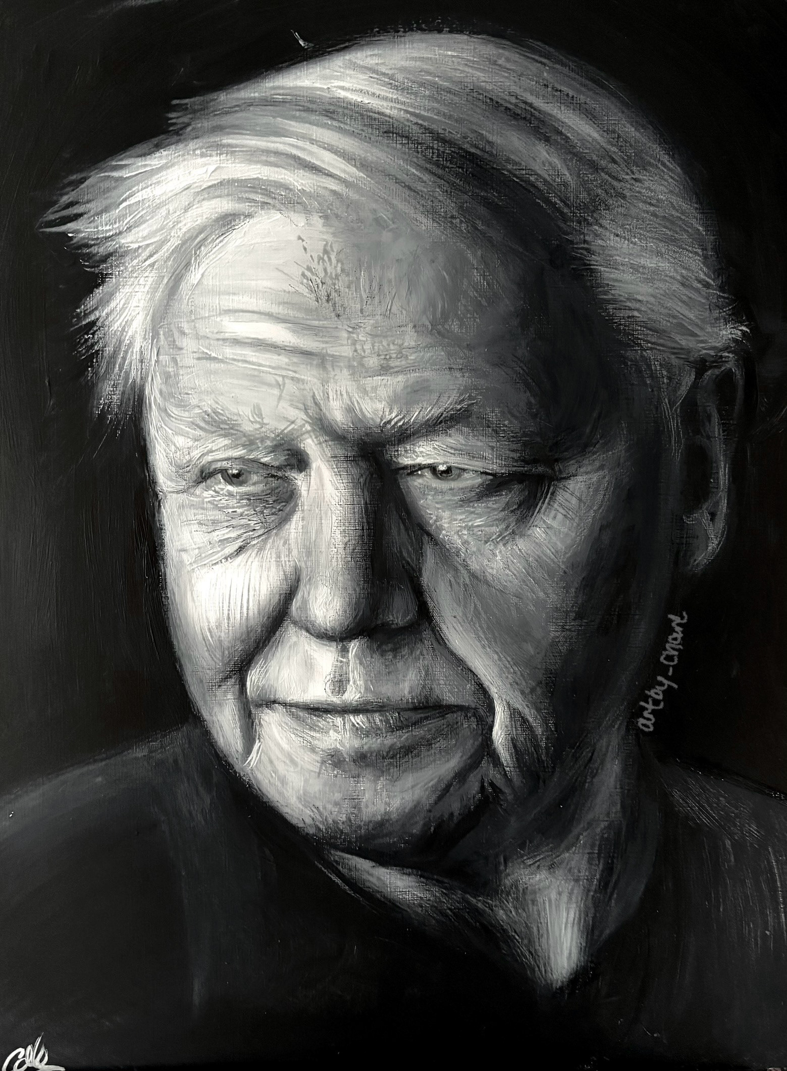 Attenborough, A3, Acrylic, Canvas Paper