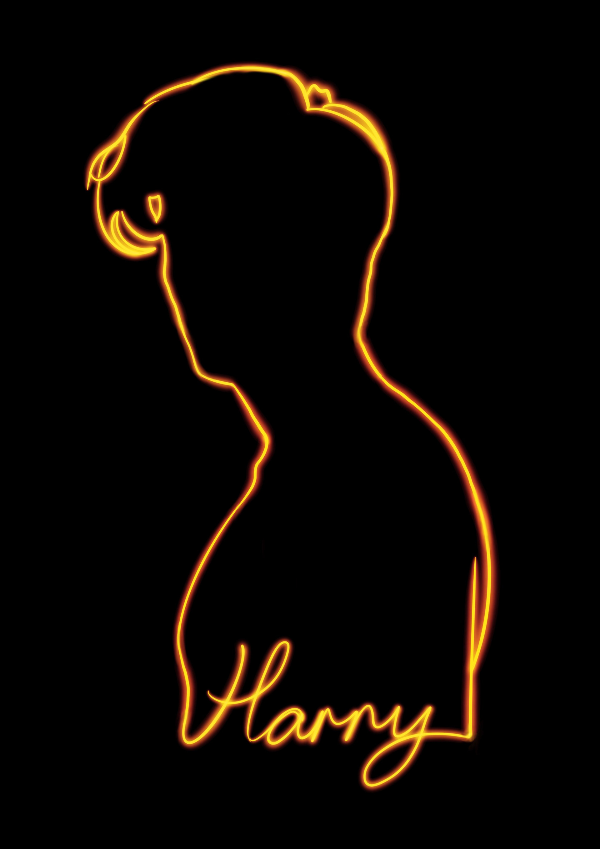 Harry Styles Neon Silhouette