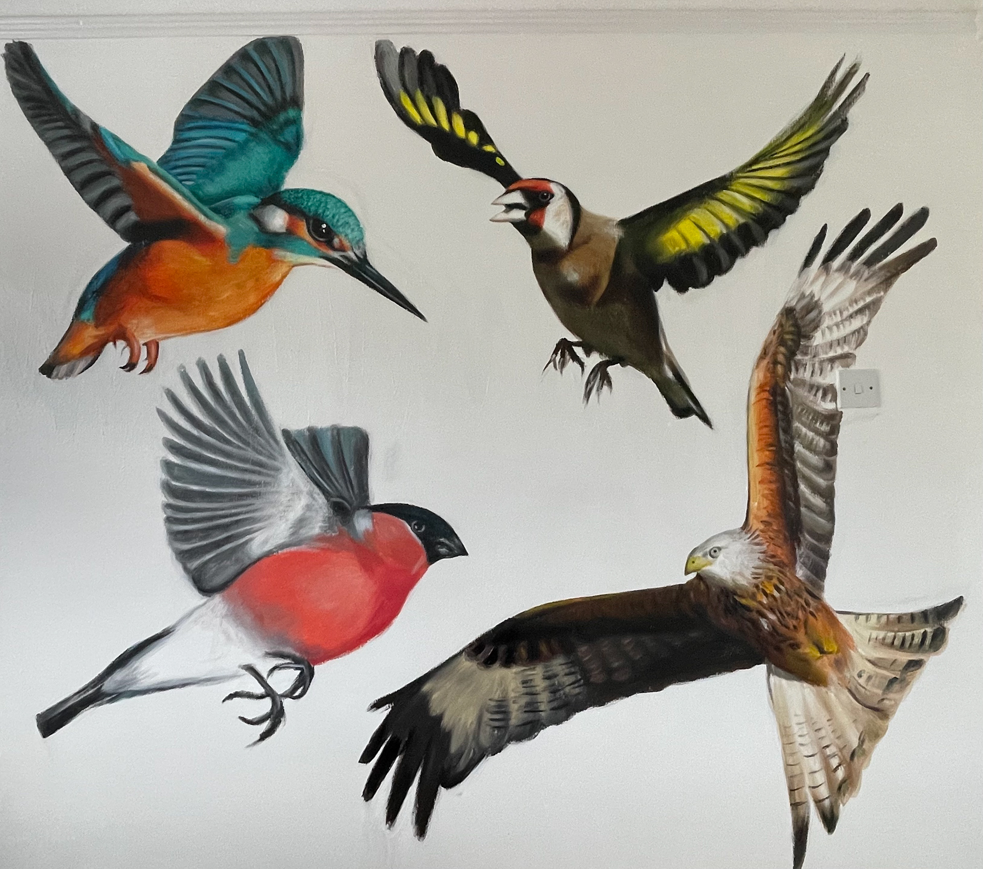 Birds of Prey, Acrylic Mural on Wall