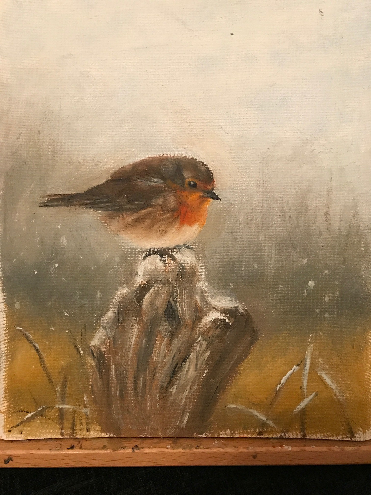 Winter Robin, A4, Oil, Paper