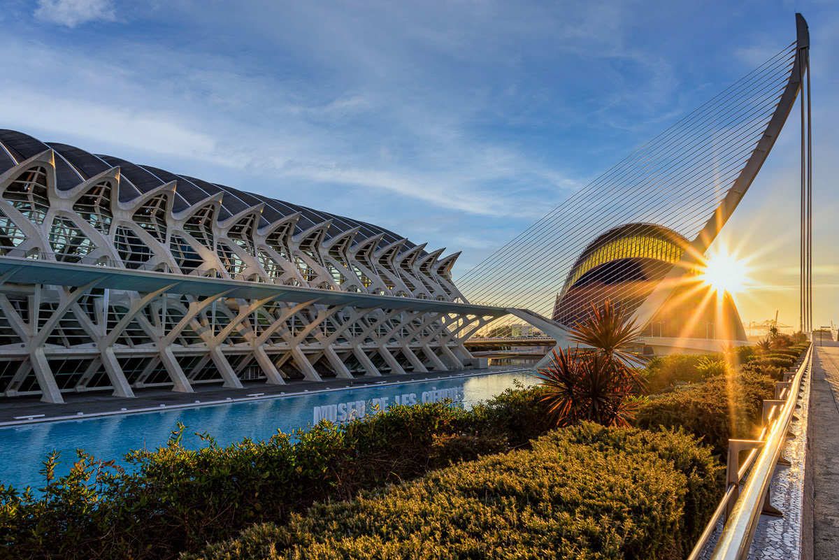 Museu de les Ciencies. Copyright © 2018-2021 David Romualdo | All Rights Reserved