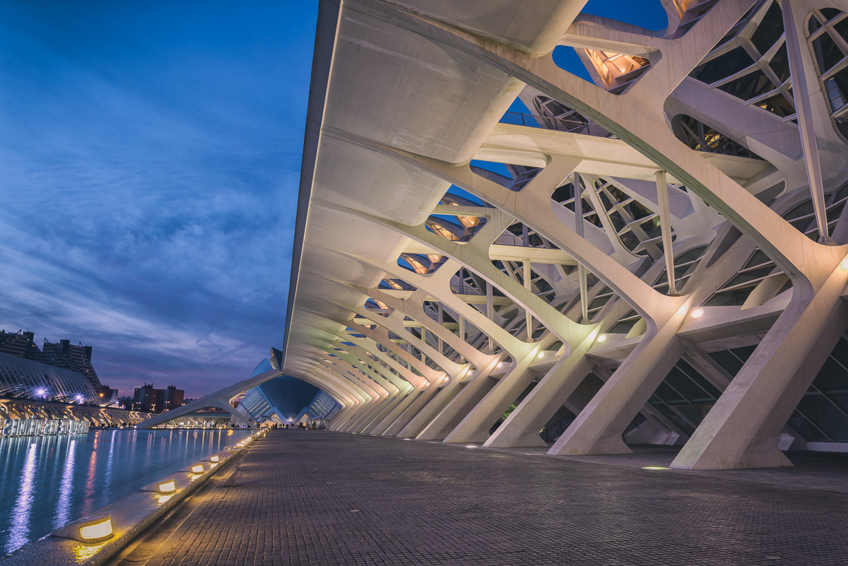 Copyright © 2018-2021 David Romualdo | All Rights Reserved