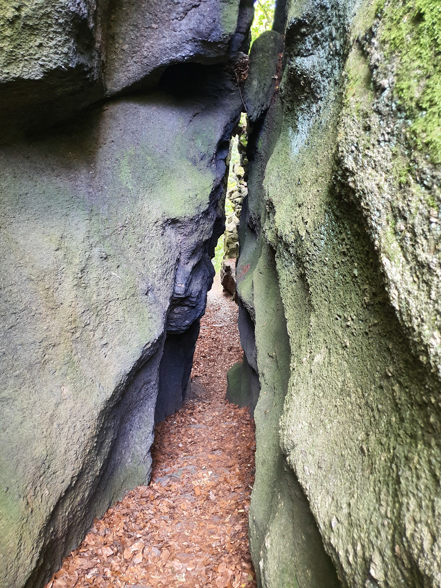 Karpaterne, Poland