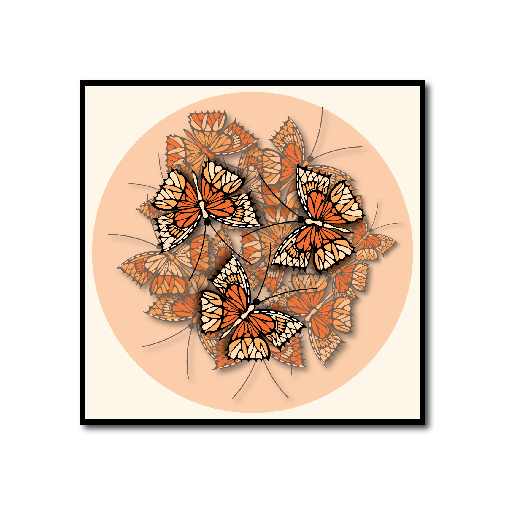 A Kaleidoscope of Butterflies