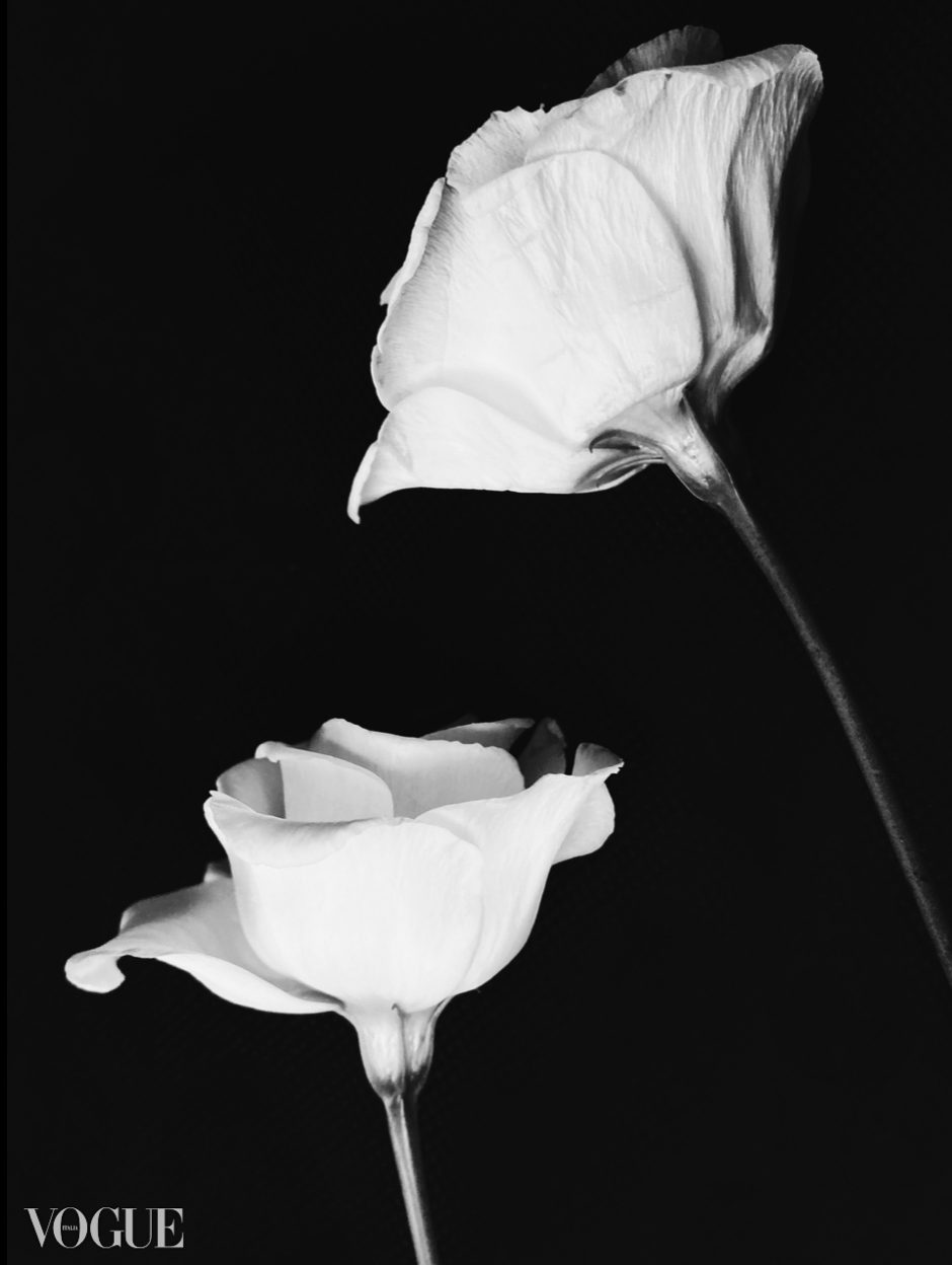 White Flowers - April 2021