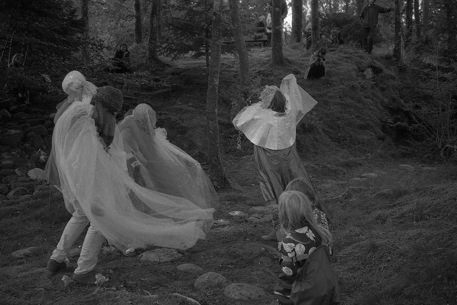 Jellyfishes, photo: Synne Bjørnsen