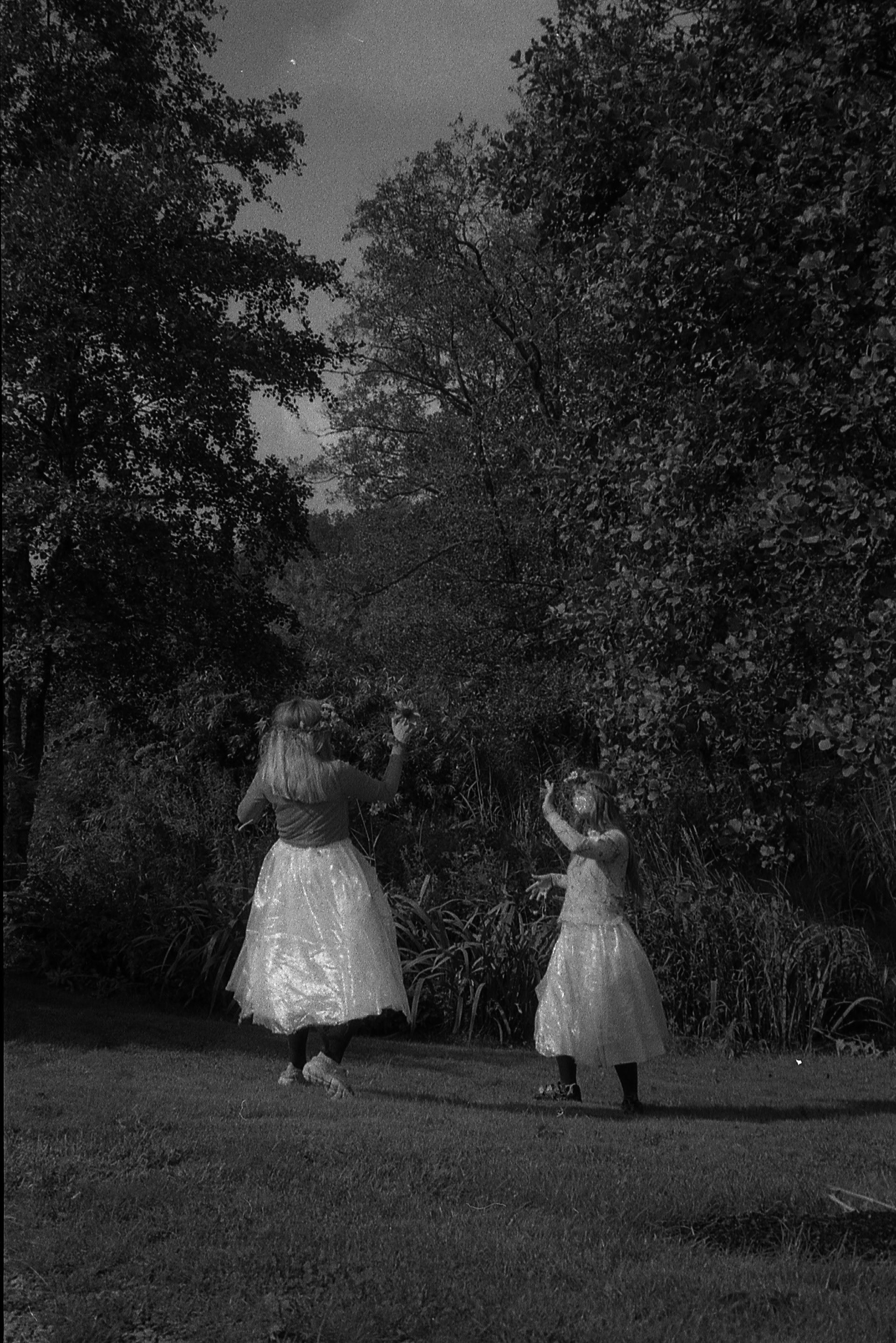 Huldras, photo: Synne Bjørnsen