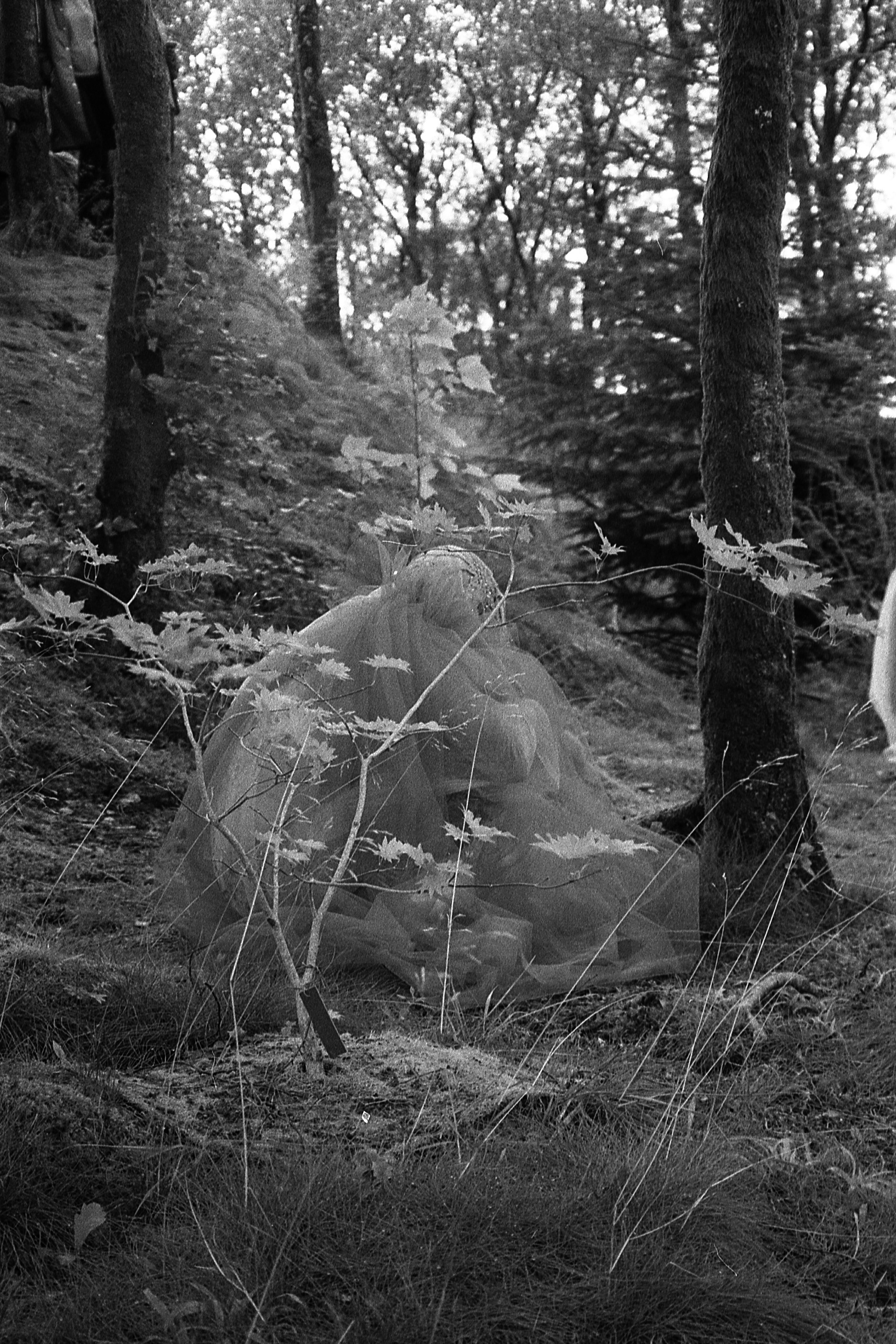 Jellyfish:Margrethe Kühle, photo: Synne Bjørnsen