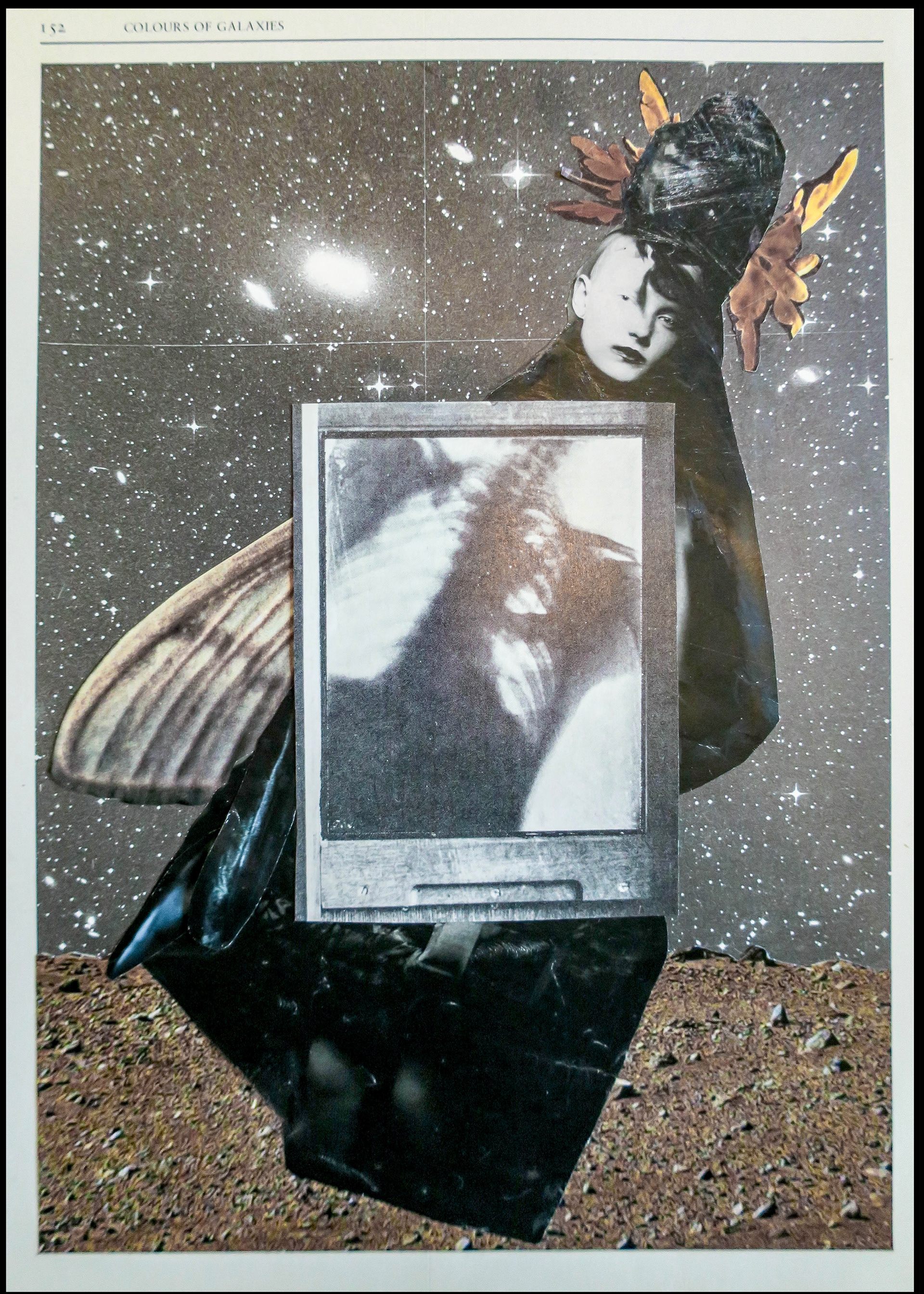 MIGRATION, collage, Marianne Connolly, $275