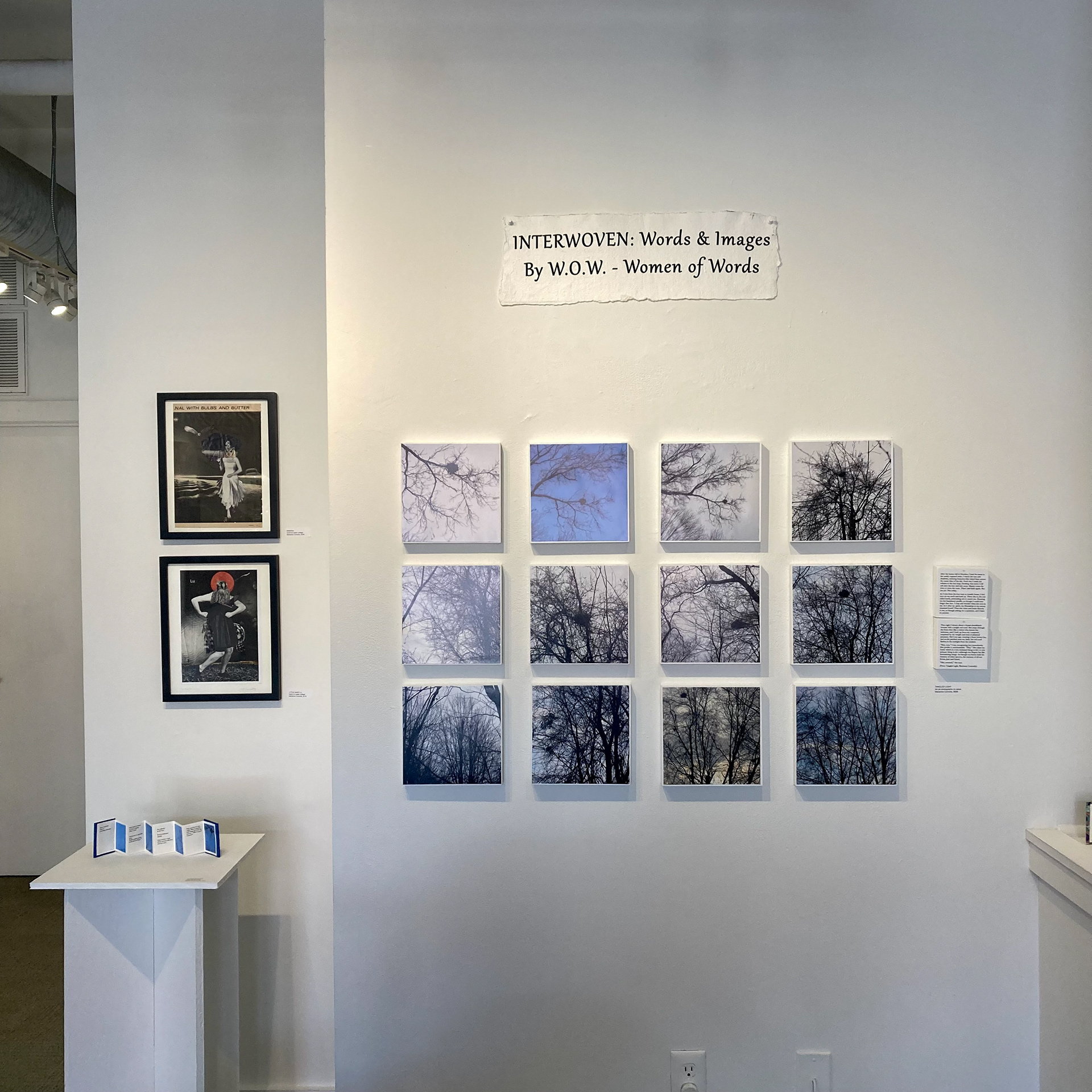 Interwoven, Marianne Connolly