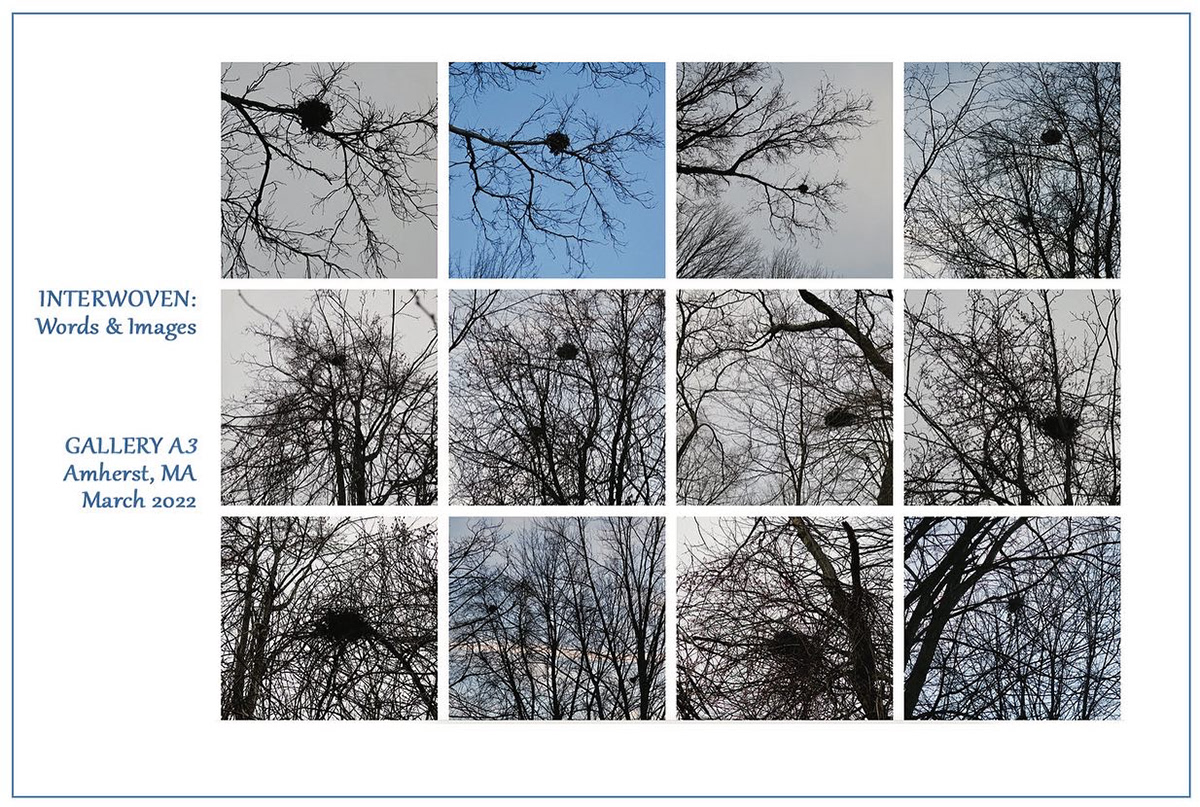 Interwoven, postcard front