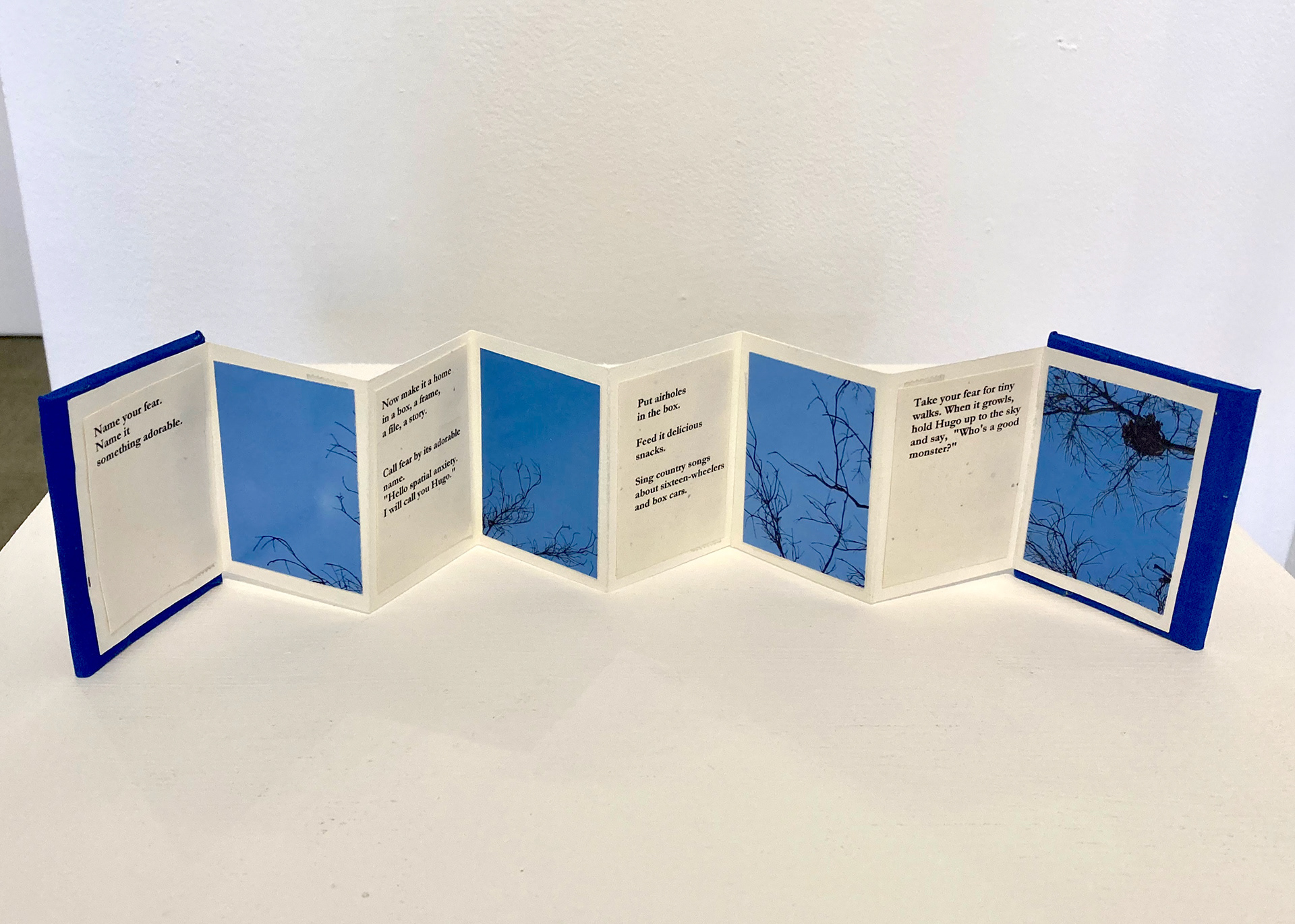 Interwoven, Marianne Connolly