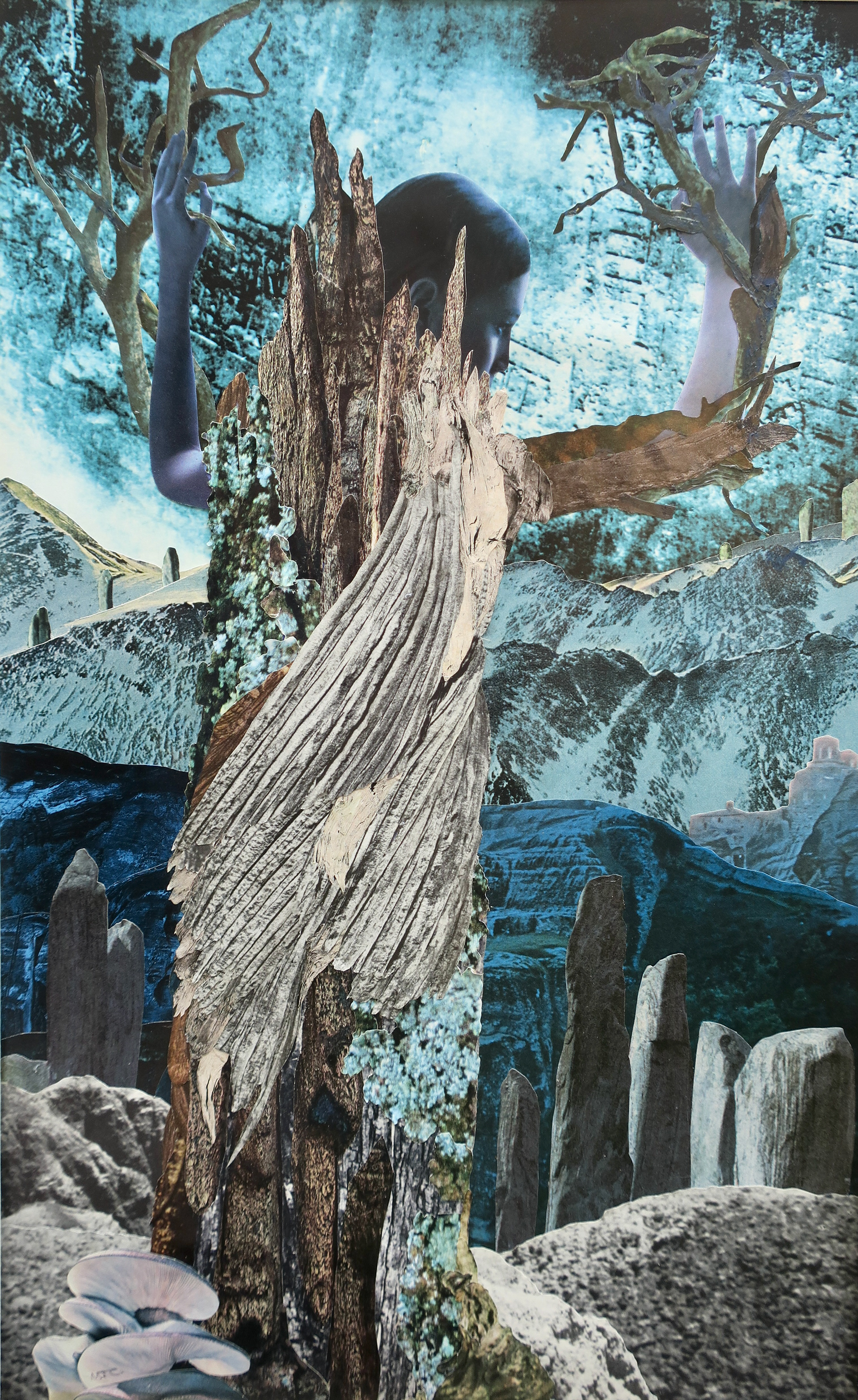 DAPHNE, collage (archival print), Marianne Connolly, $175