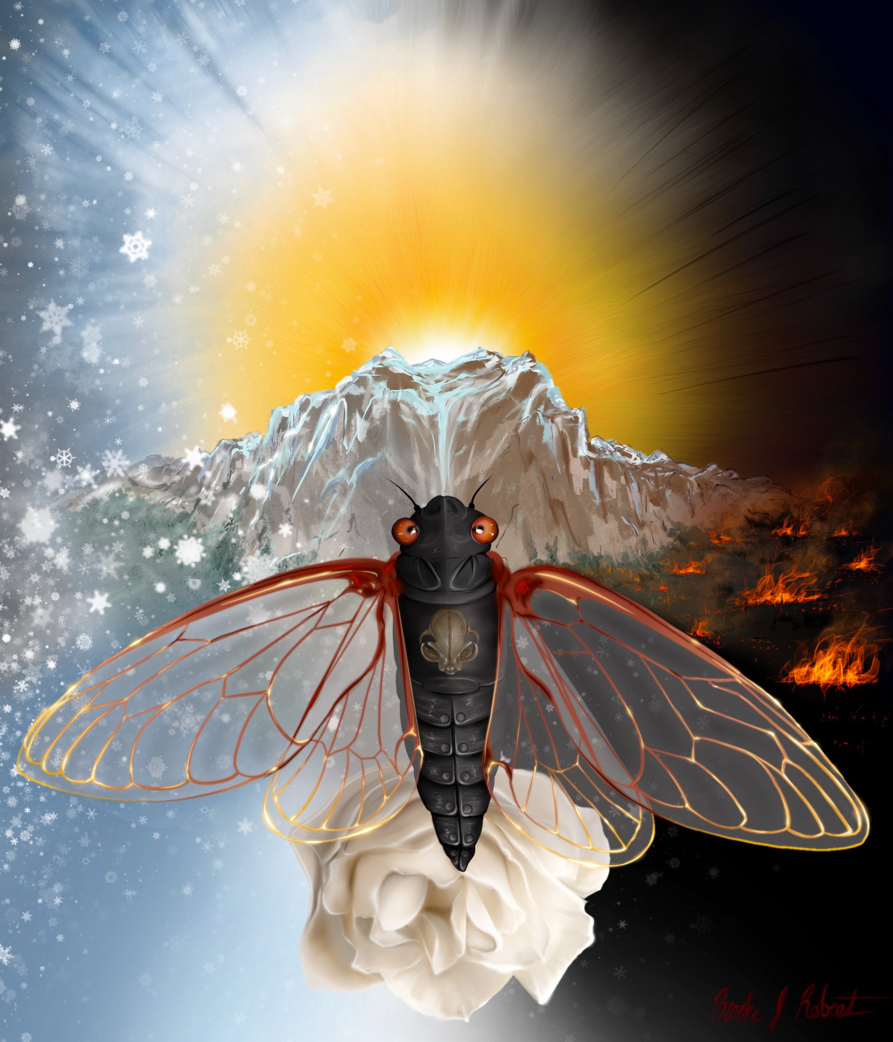 "Unbridled Nature" - Death (tribute to the 2021 Marshall Fires)