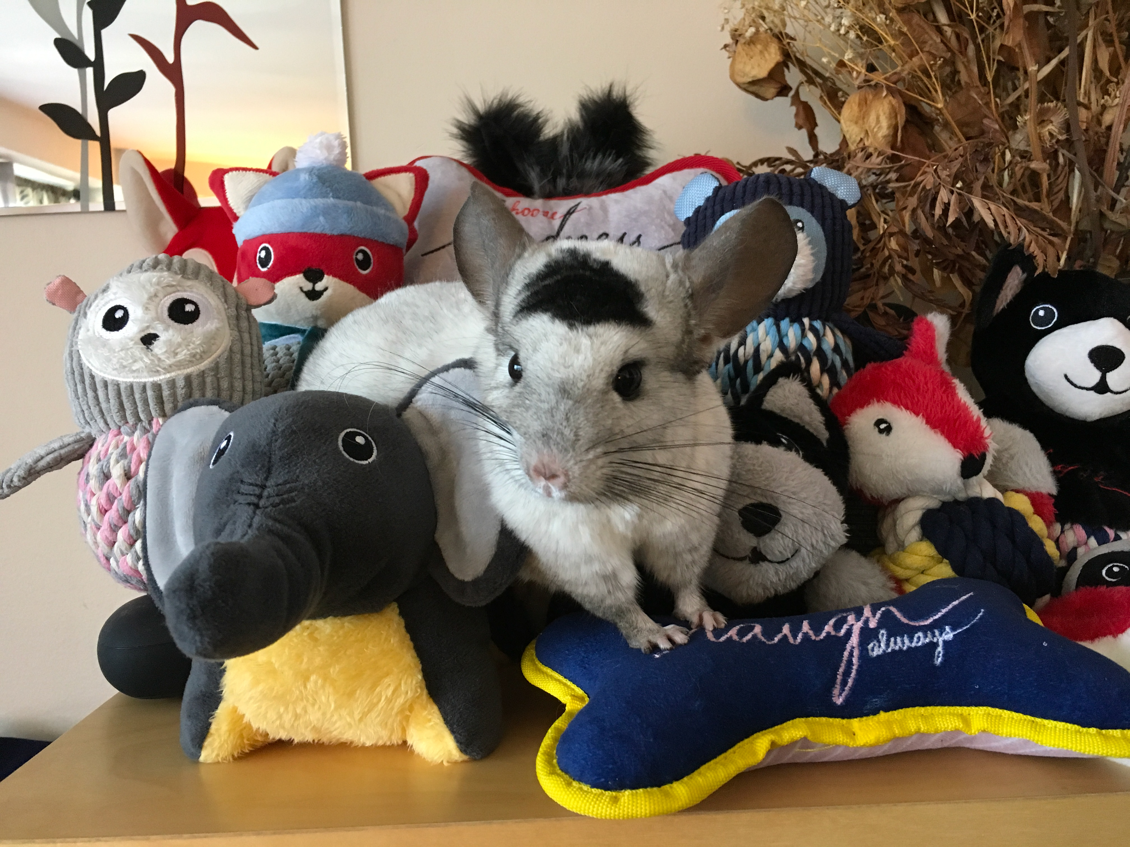 Sample toys I designed!....and Raffy snuck his way in there as well!