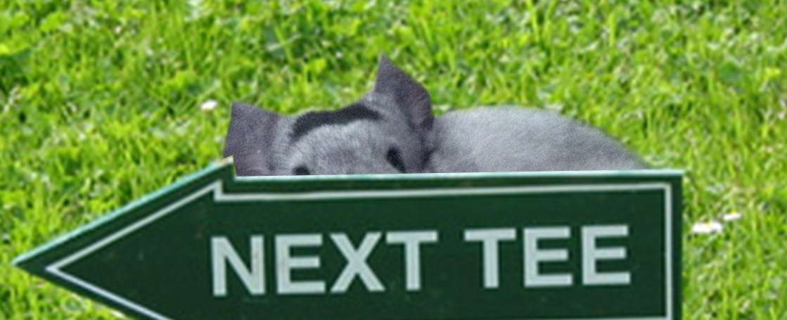 Where is the next hole please?