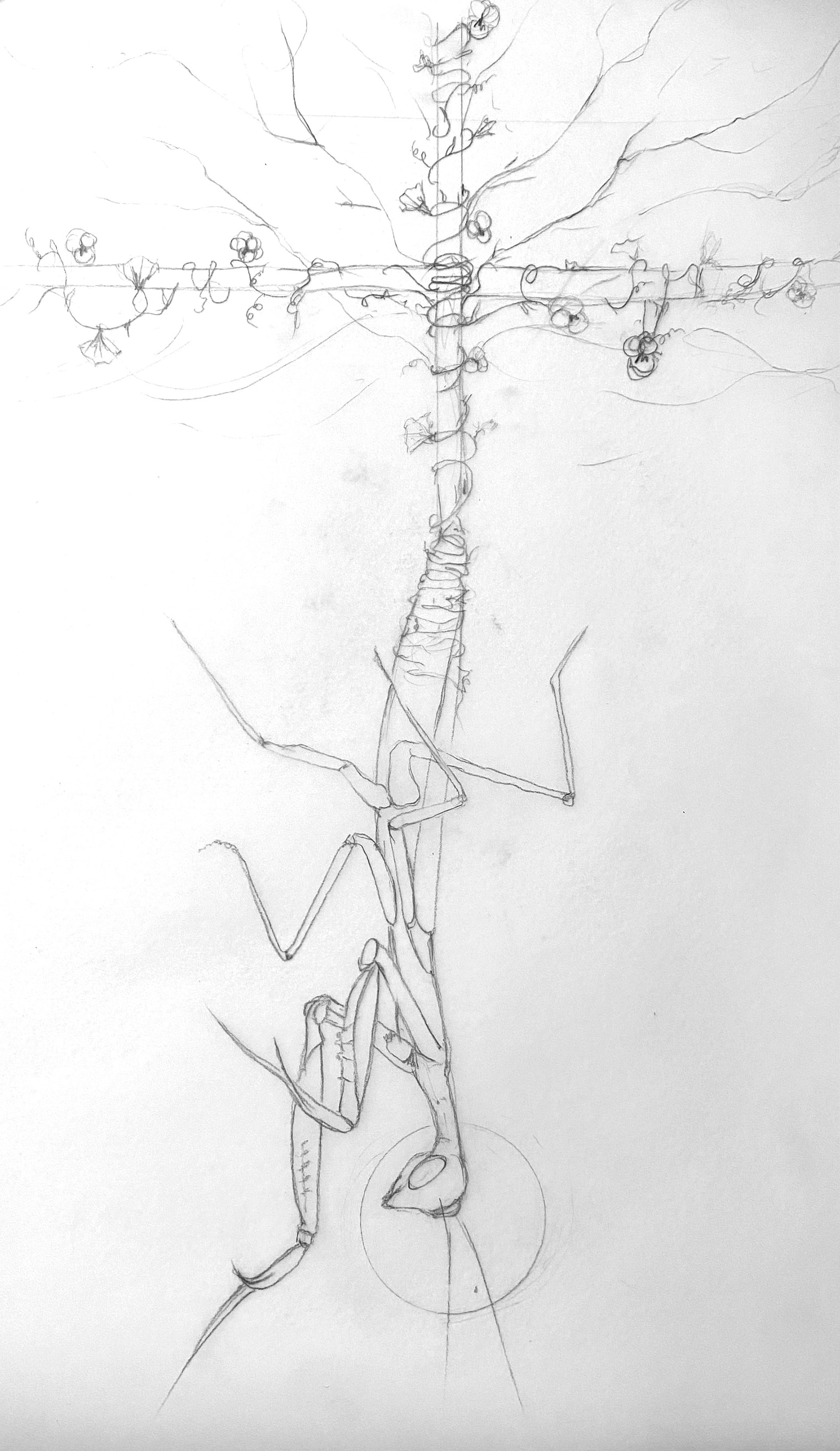 The Hanged Man