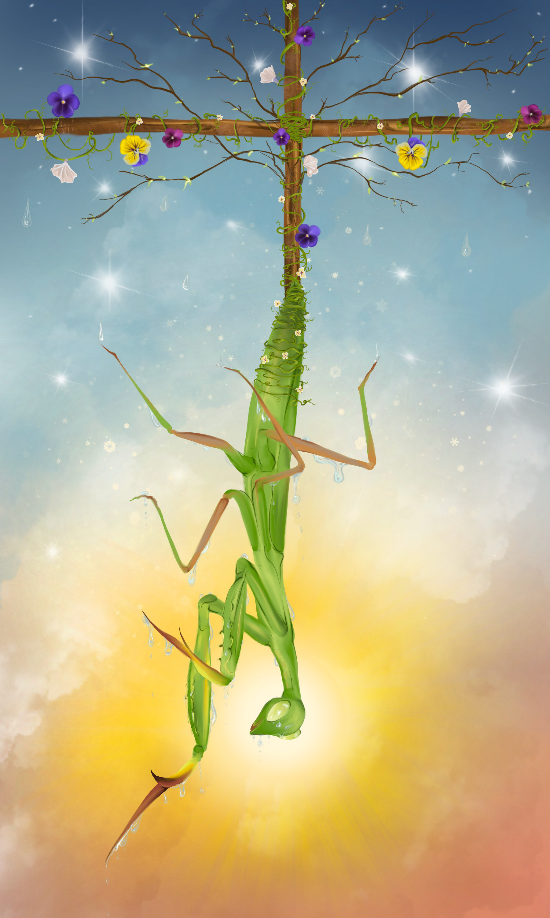 The Hanged Man