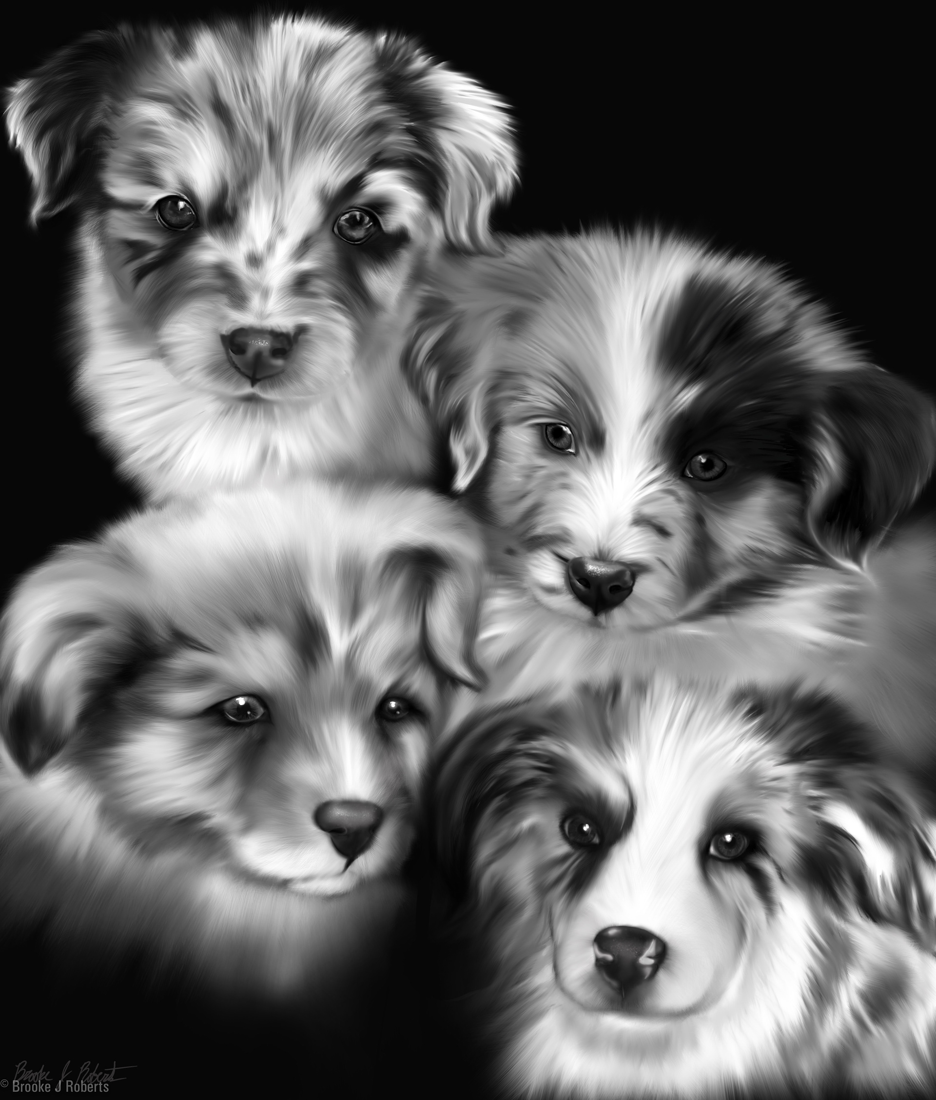 My Family's Dogs (Top left to bottom right): Fig, Harlow, Jasper, and Wiley