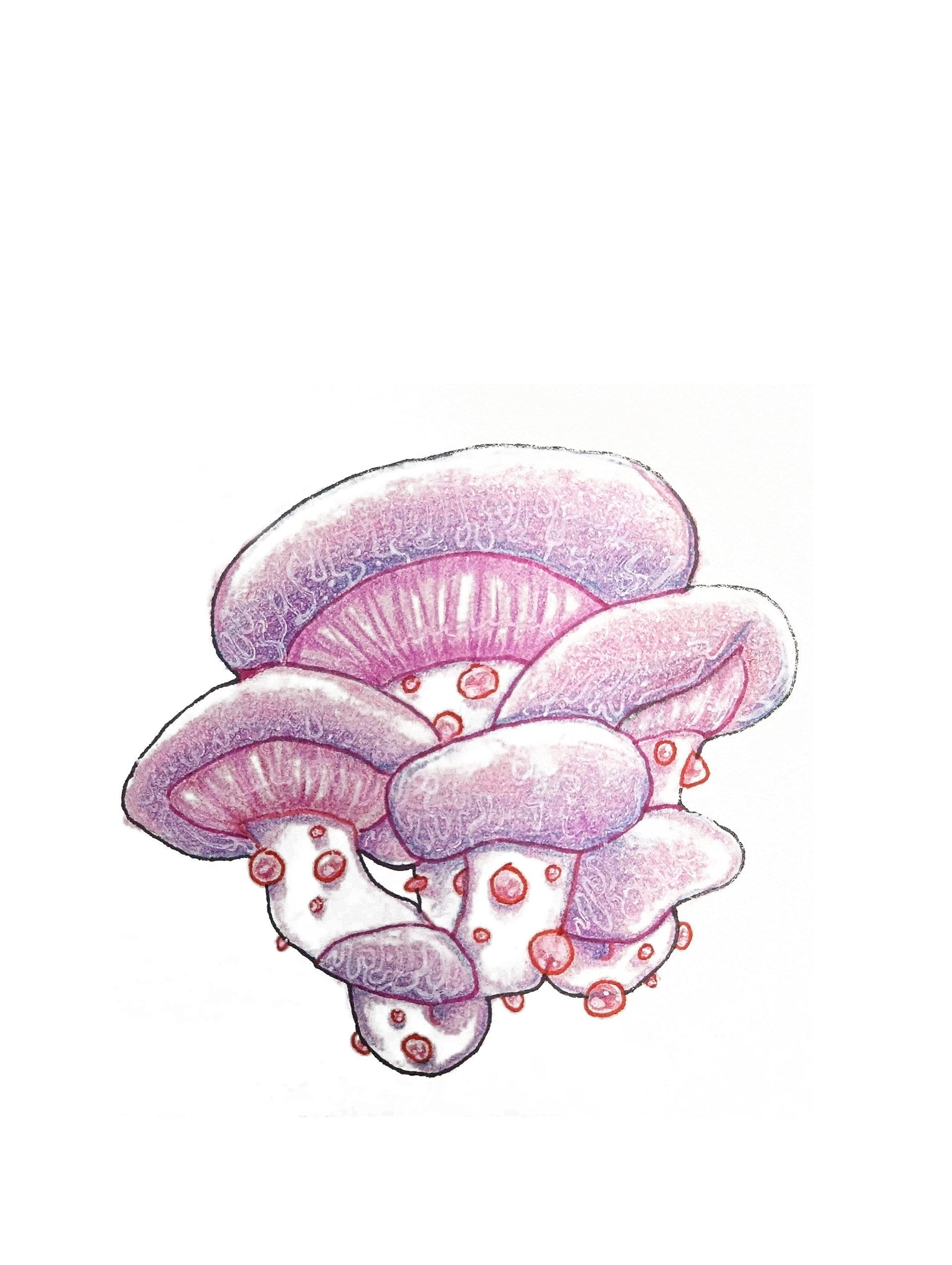 Coloured