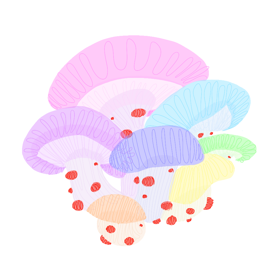 Squiggles