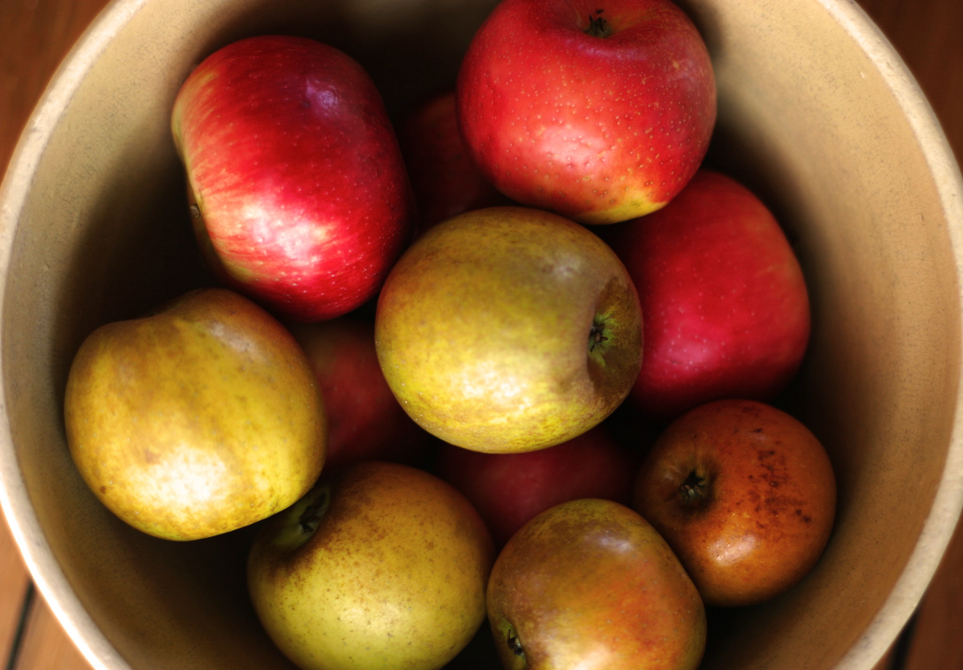 Fall harvest from Maiden Rock Apples