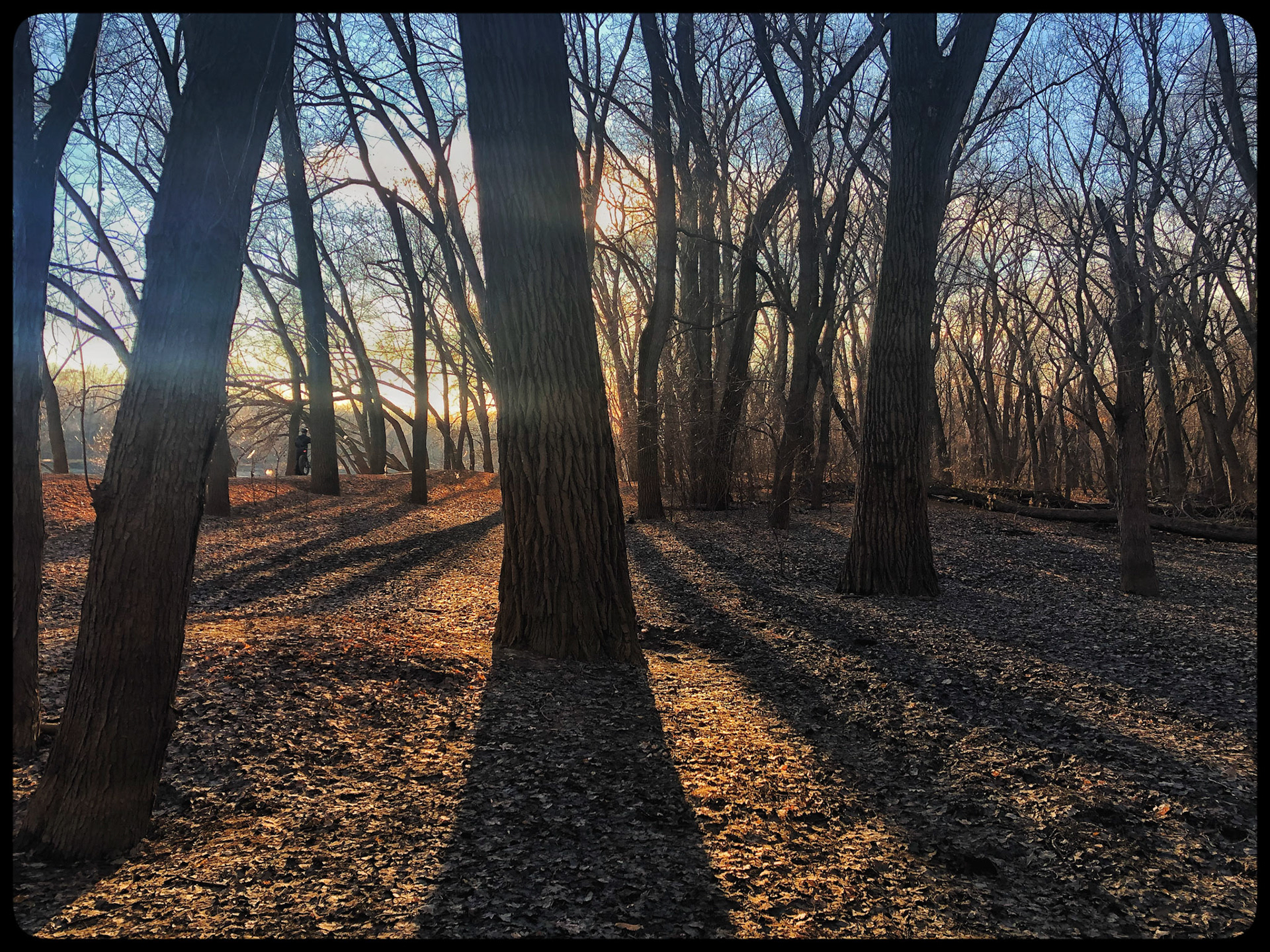 Crosby Farm Park, Mississippi River Bottom, St. Paul, Minnesota