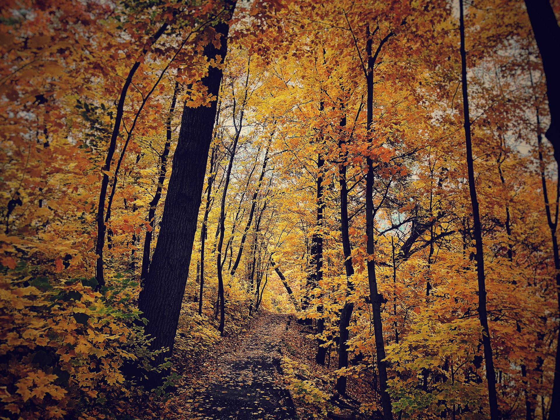 Mississippi River Gorge, Minneapolis