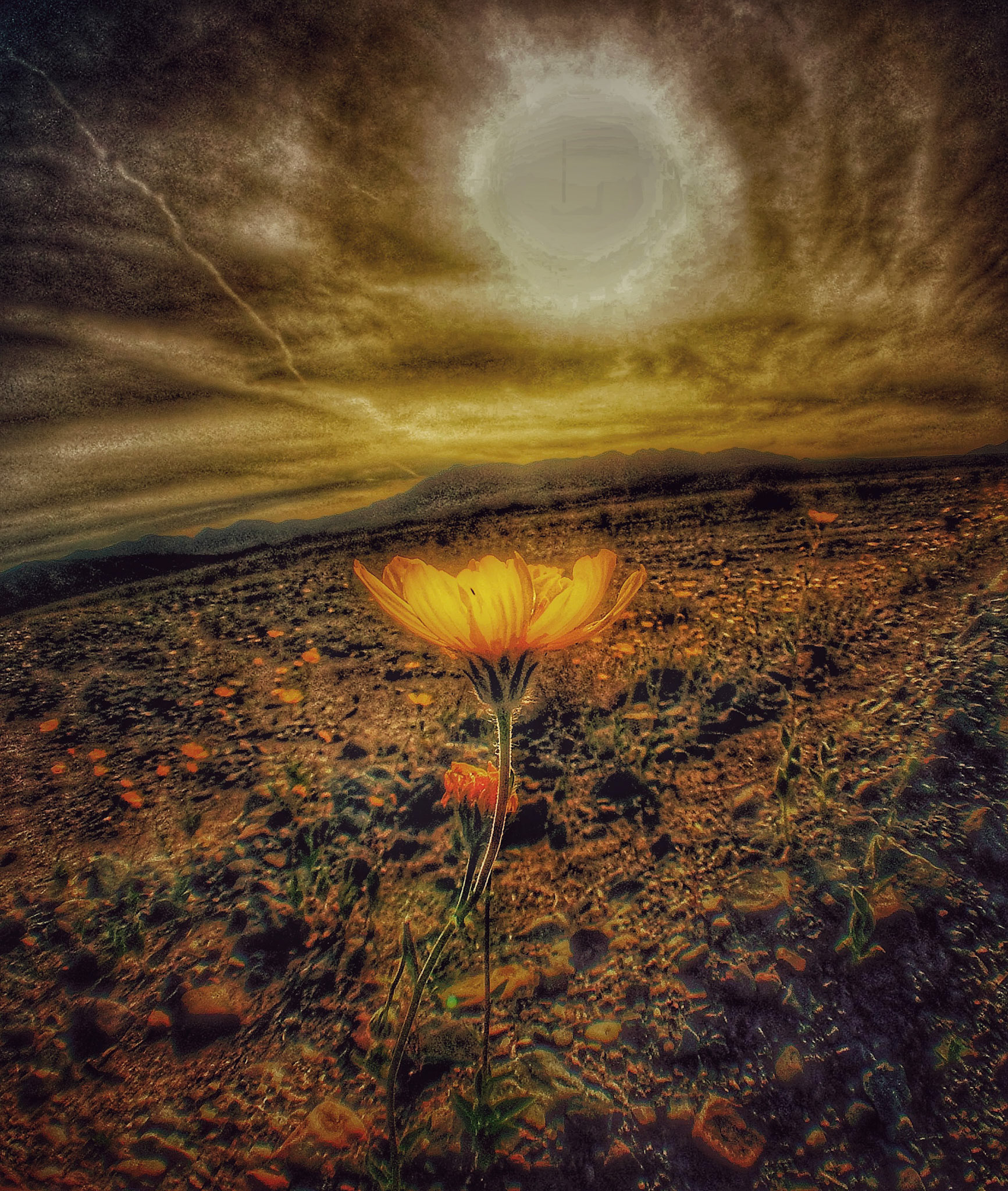 Death Valley, California