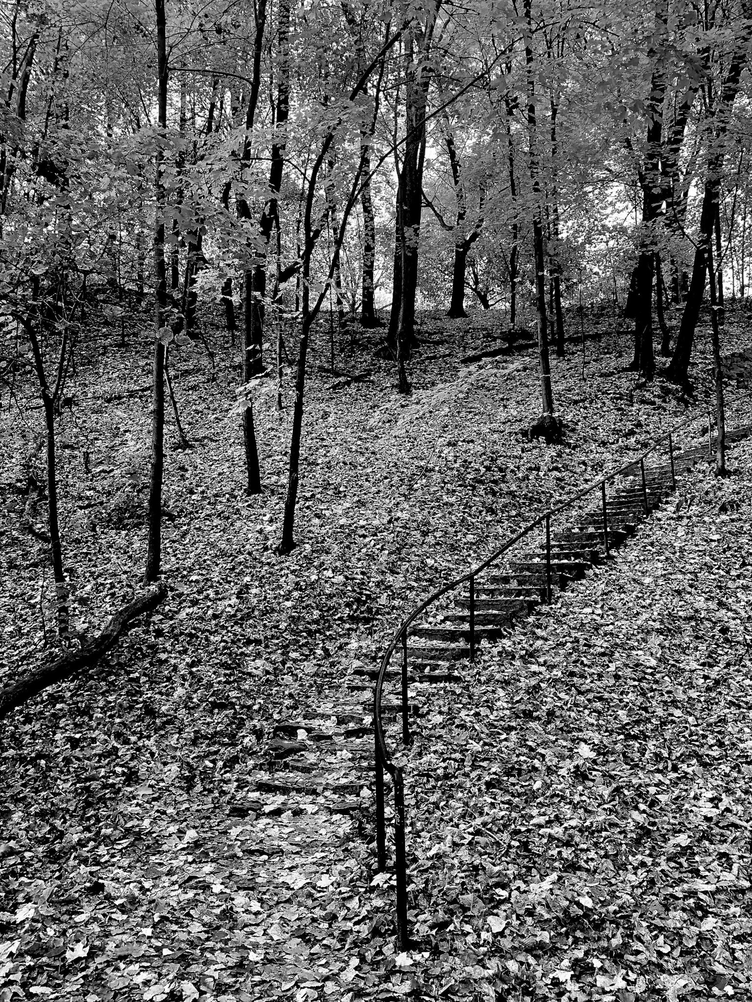 Mississippi River Gorge, Minneapolis