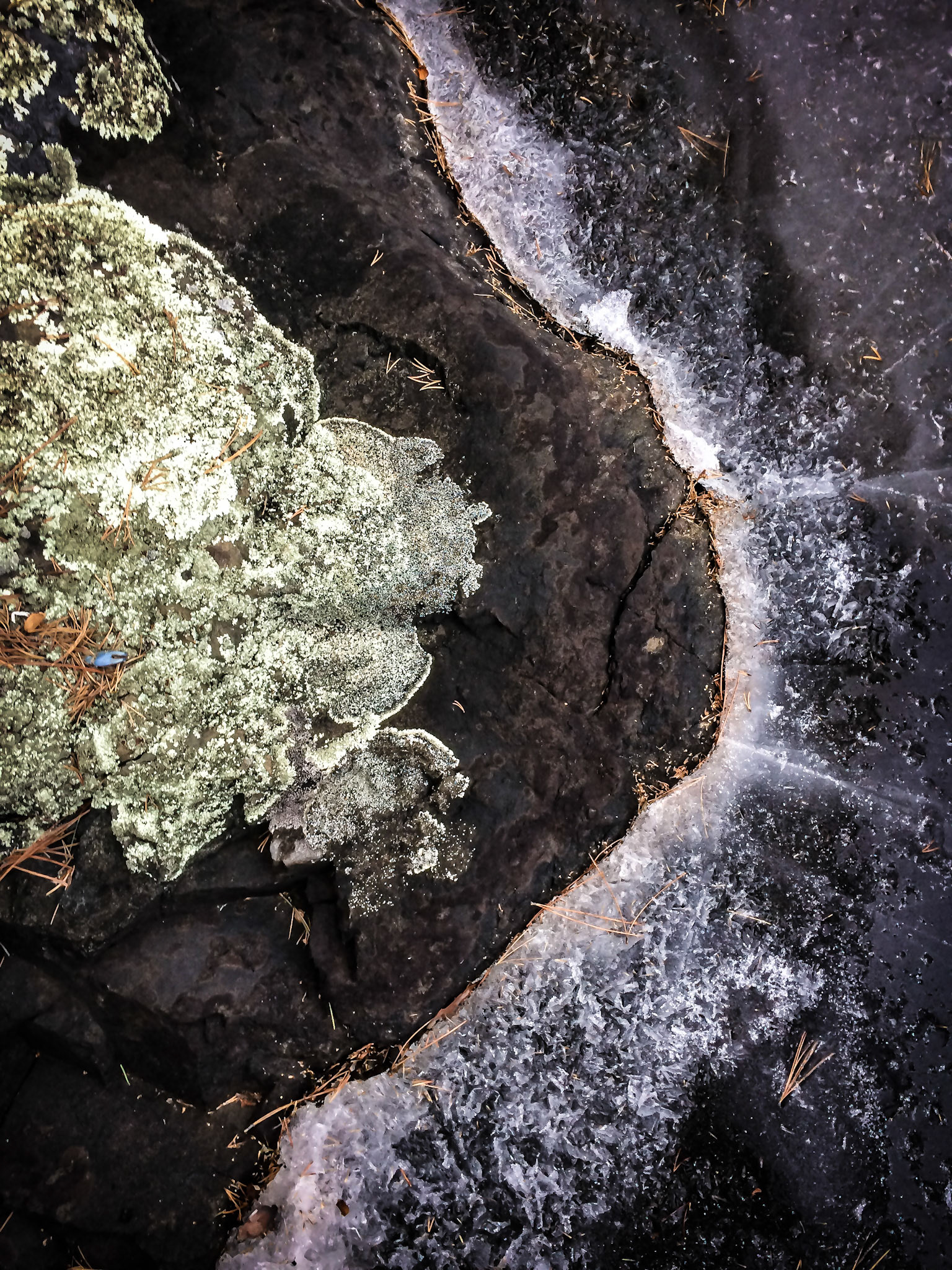 Lichen, rock, ice. Boundary Waters, Minnesota