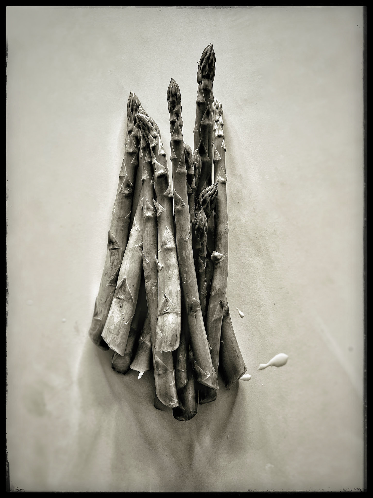 Asparagus from our garden