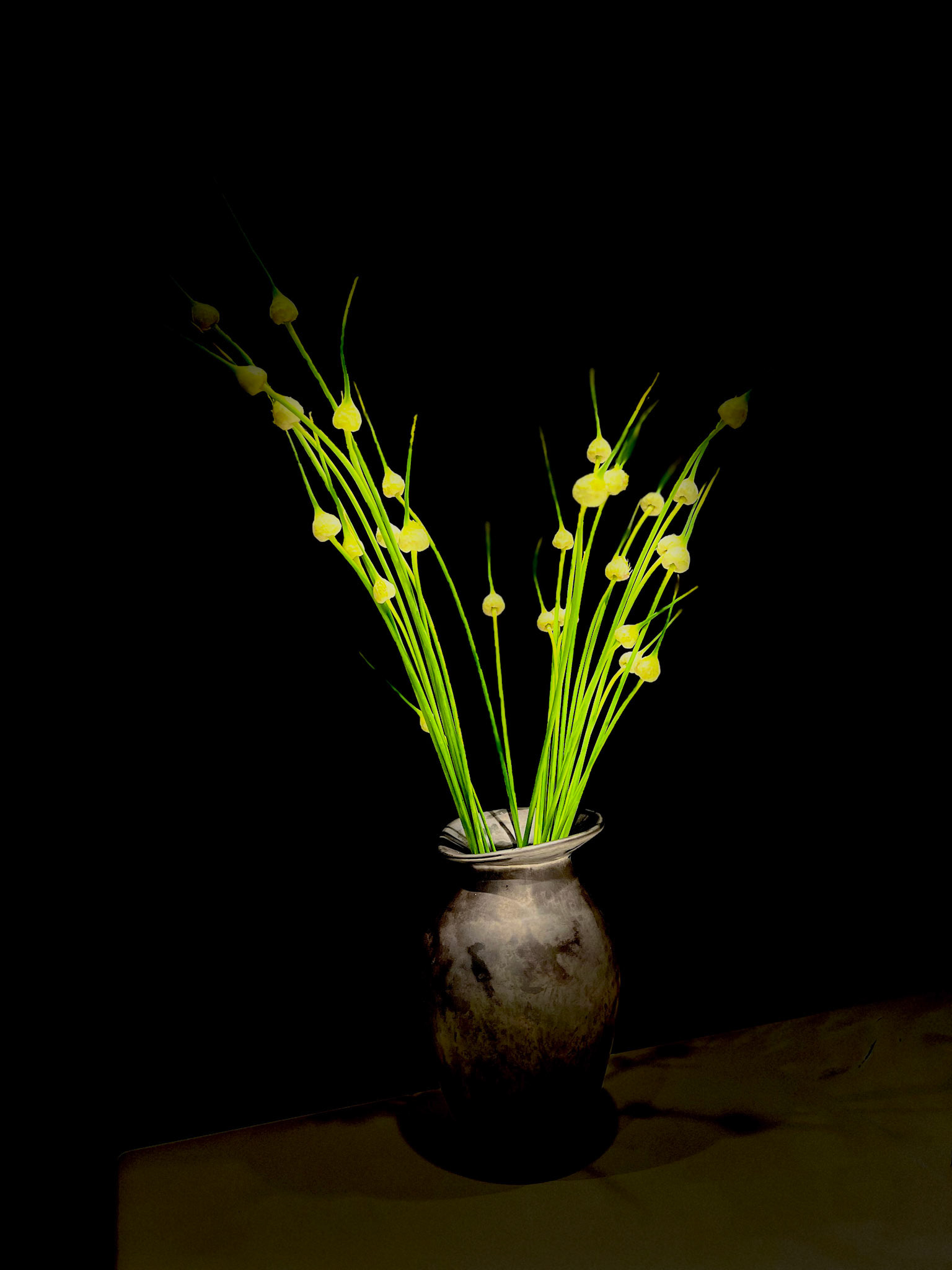 Garlic Scapes from our Garden